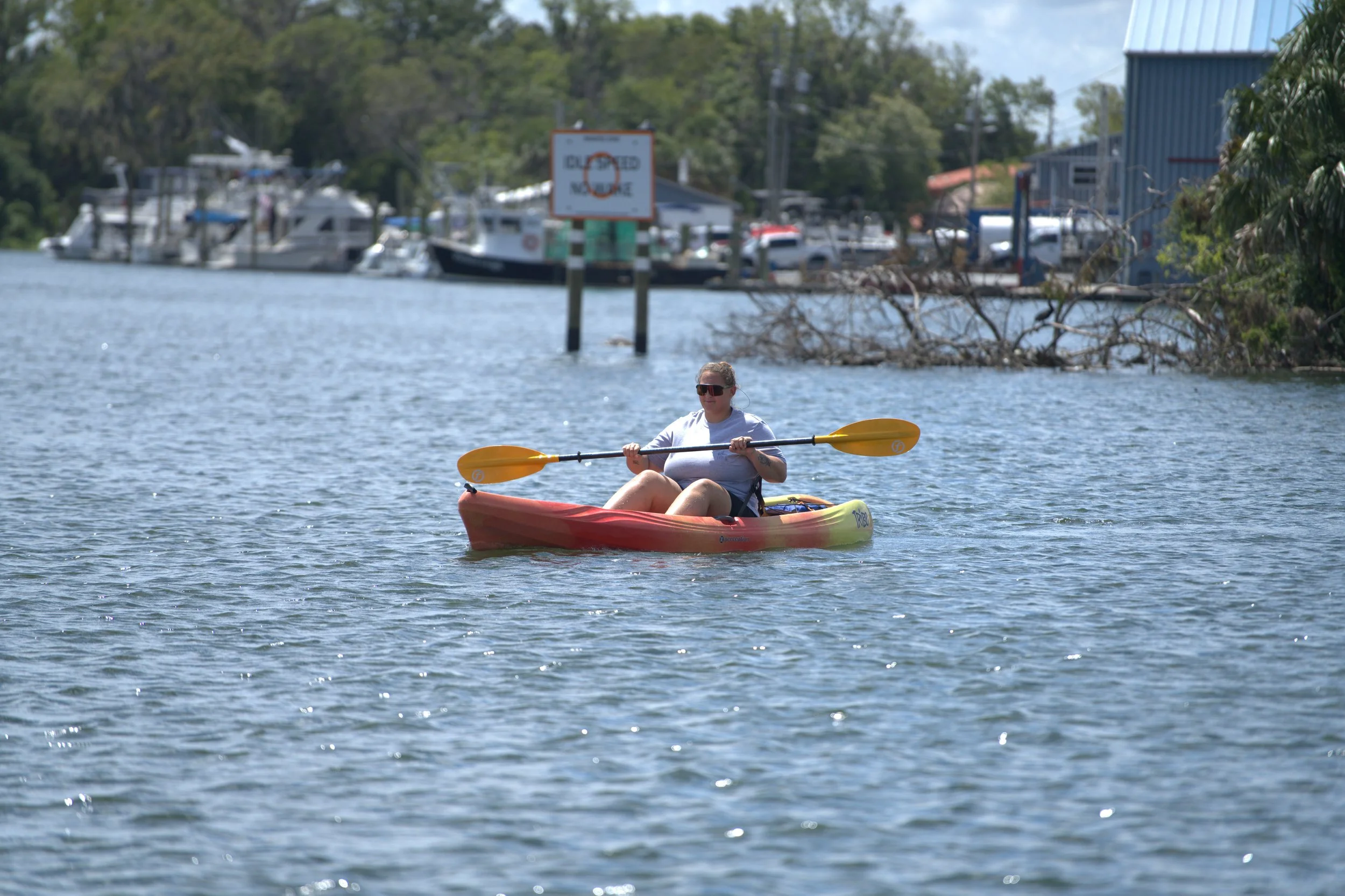 Beat the Summer Heat: Why June Is the Perfect Time to Explore Crystal River’s Spring-Fed Waters