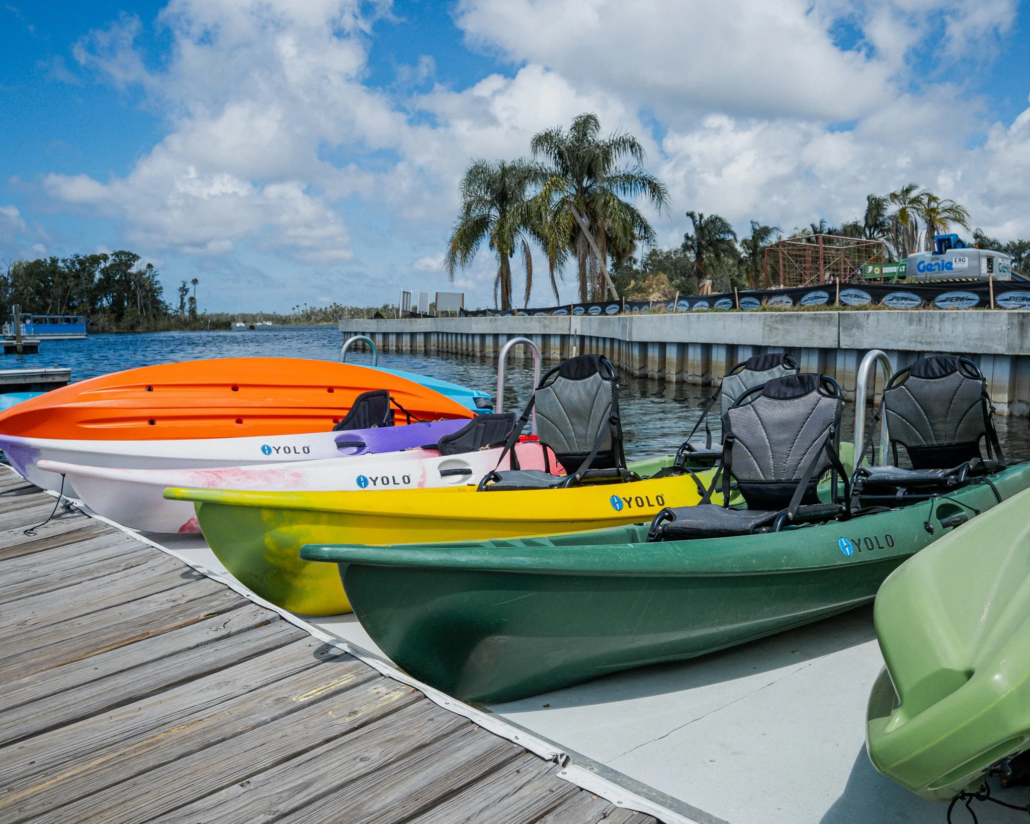 Why Summer Mornings Are the Best Time to Experience Crystal River's Natural Beauty