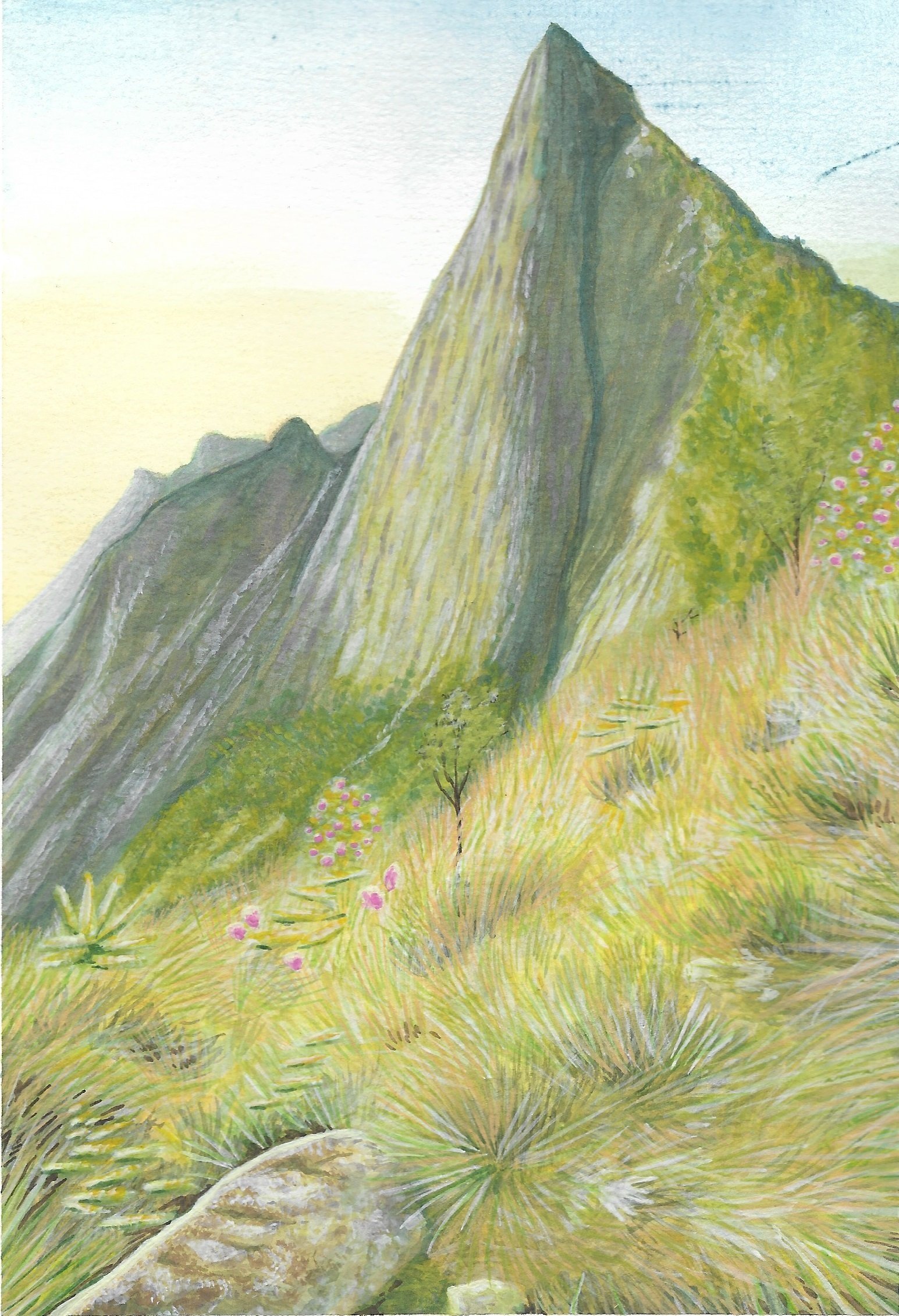 Mountain.jpg