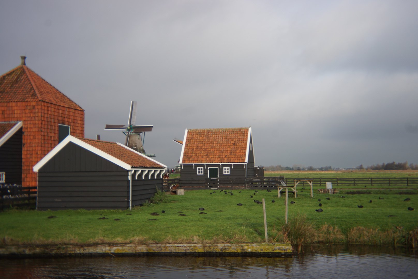 DSC02516.JPG