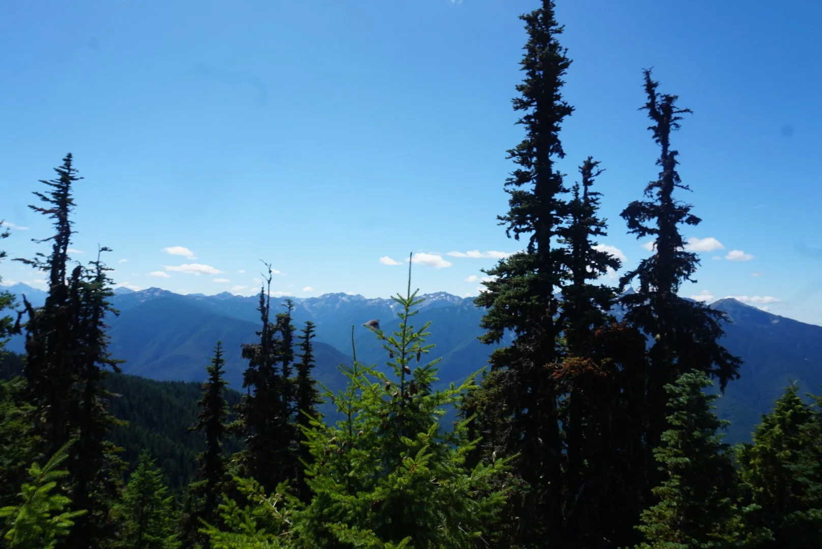 DSC02773.JPG