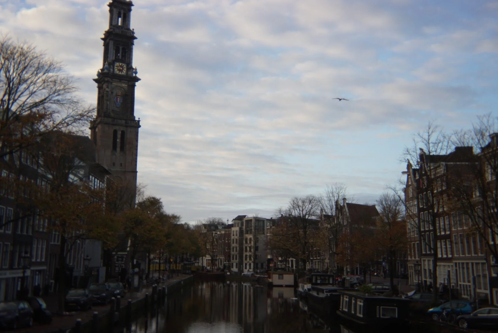 DSC02428.JPG