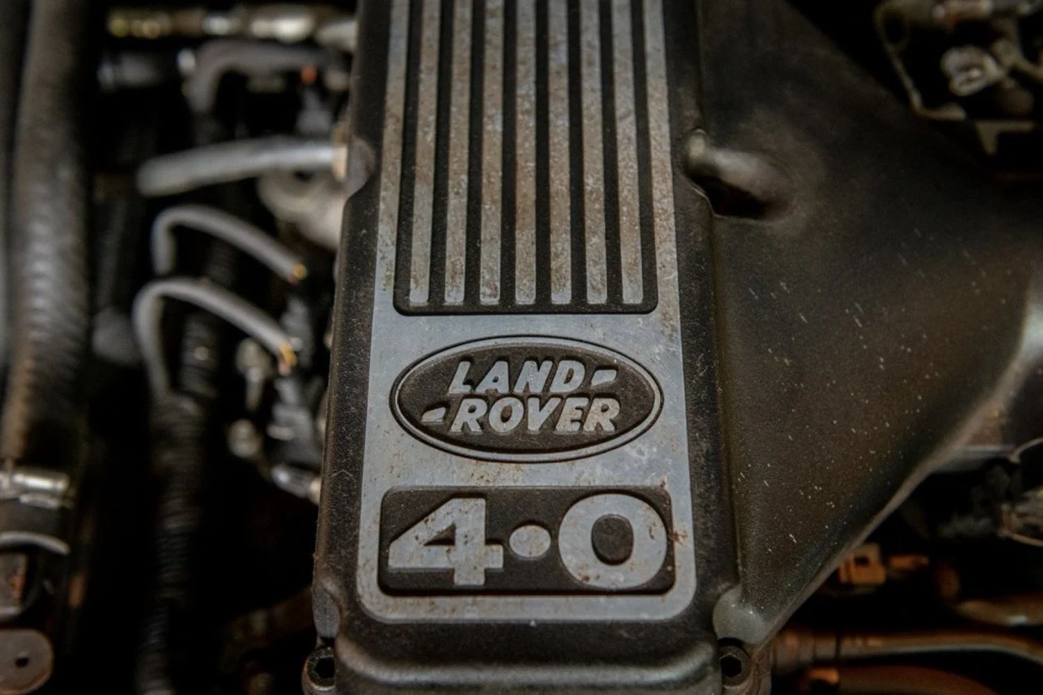 220.jpg
