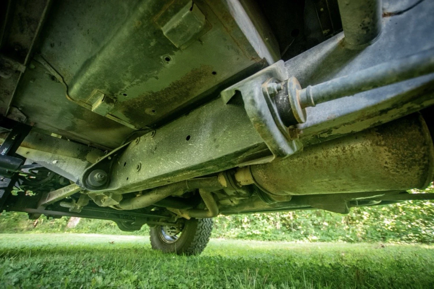 240.jpg
