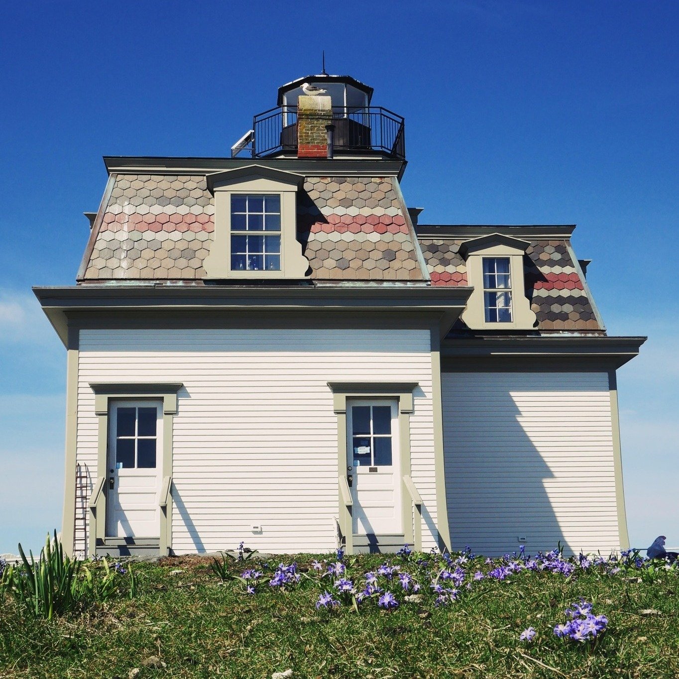 Happy Earth Day! Signs of spring are popping up all over the island and the bird population on the island are nesting. Come enjoy the lovely weather on island. Book an overnight, set up a private tour with us, or hop on the Jamestown-Newport Ferry on