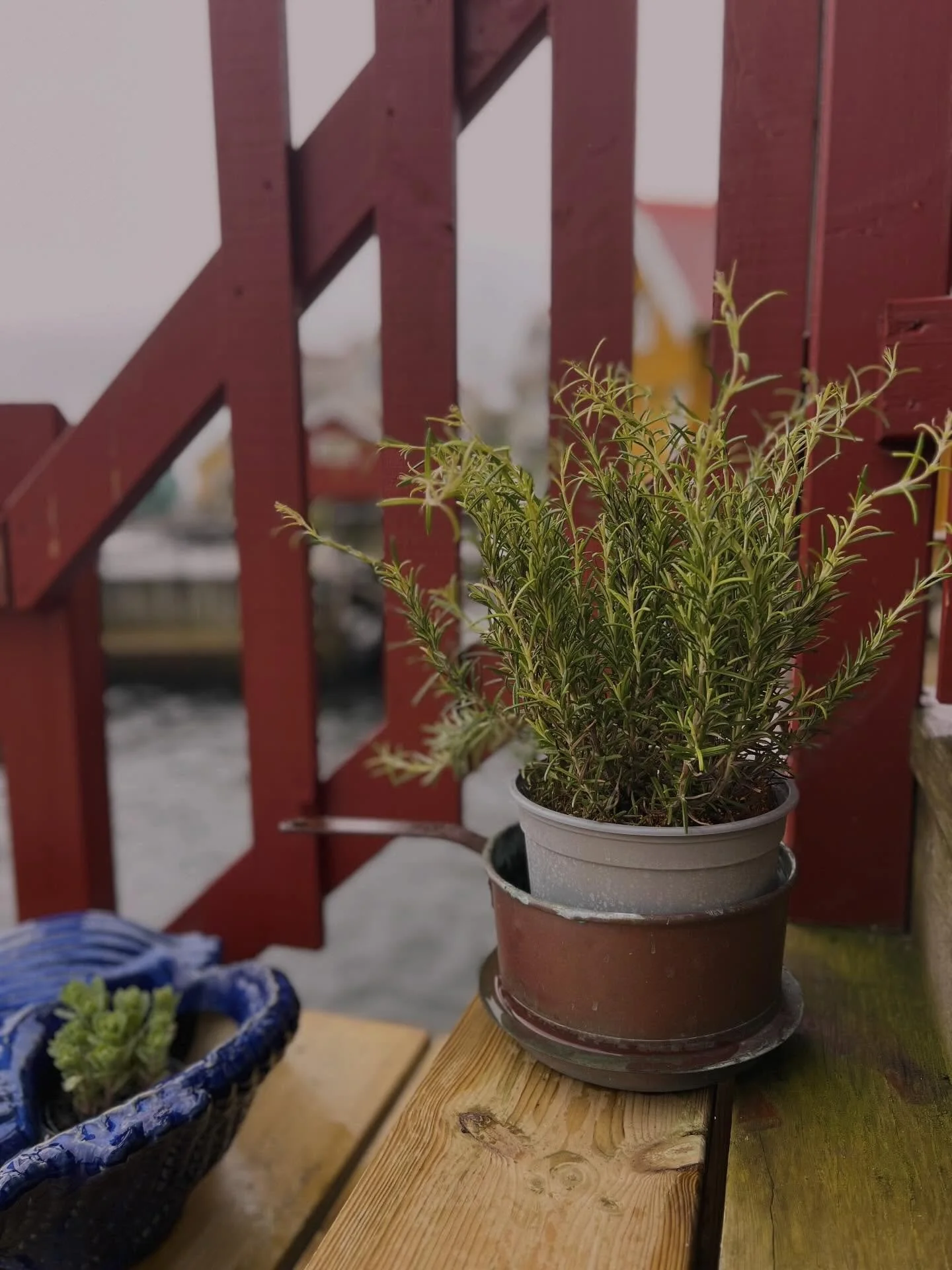 UPPDATERING: F&auml;rjan k&ouml;r absolut sista turen fr&aring;n &ouml;n vid 14.20 idag, och kan sluta g&aring; tidigare vid behov. Vi f&ouml;rst&aring;r om det grusar planer, men &ouml;nskar varmt v&auml;lkommen en mindre stormig dag! 🙆🏼&zwj;♀️🌊?