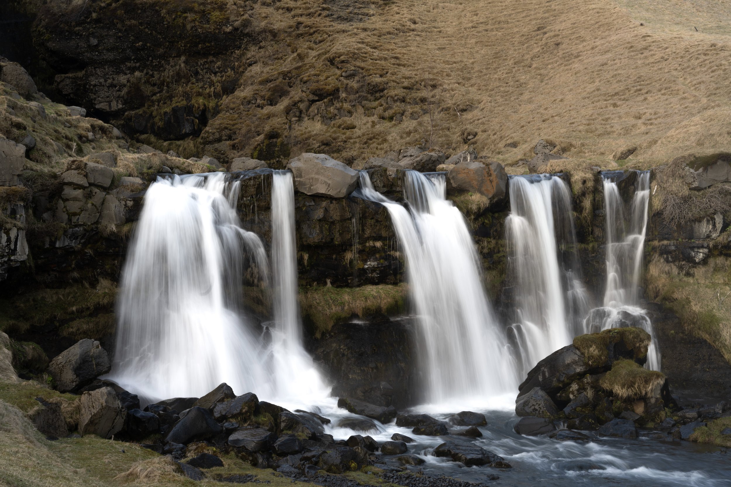 DSC_0797.jpeg