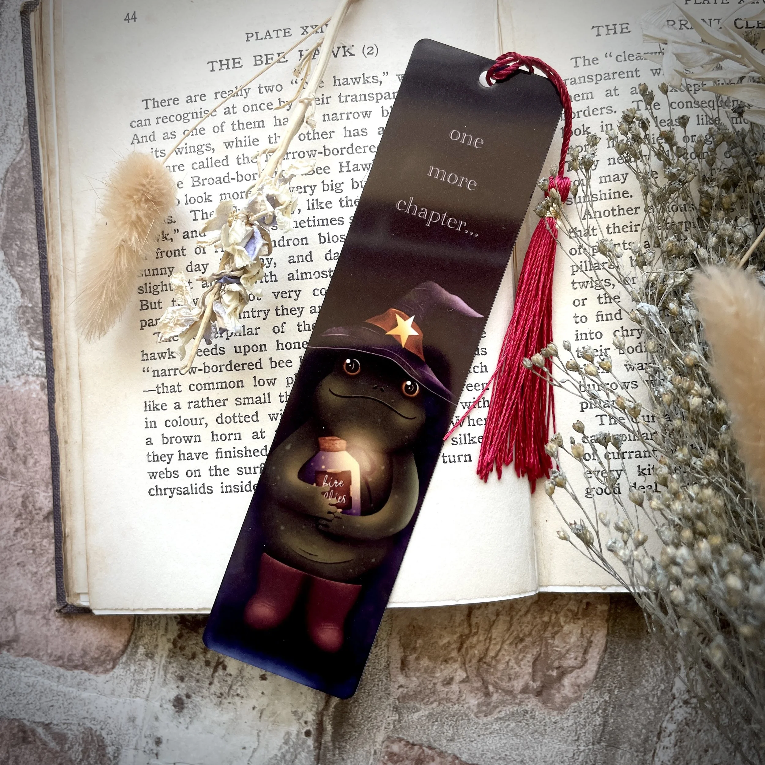 Frog Mage Bookmark