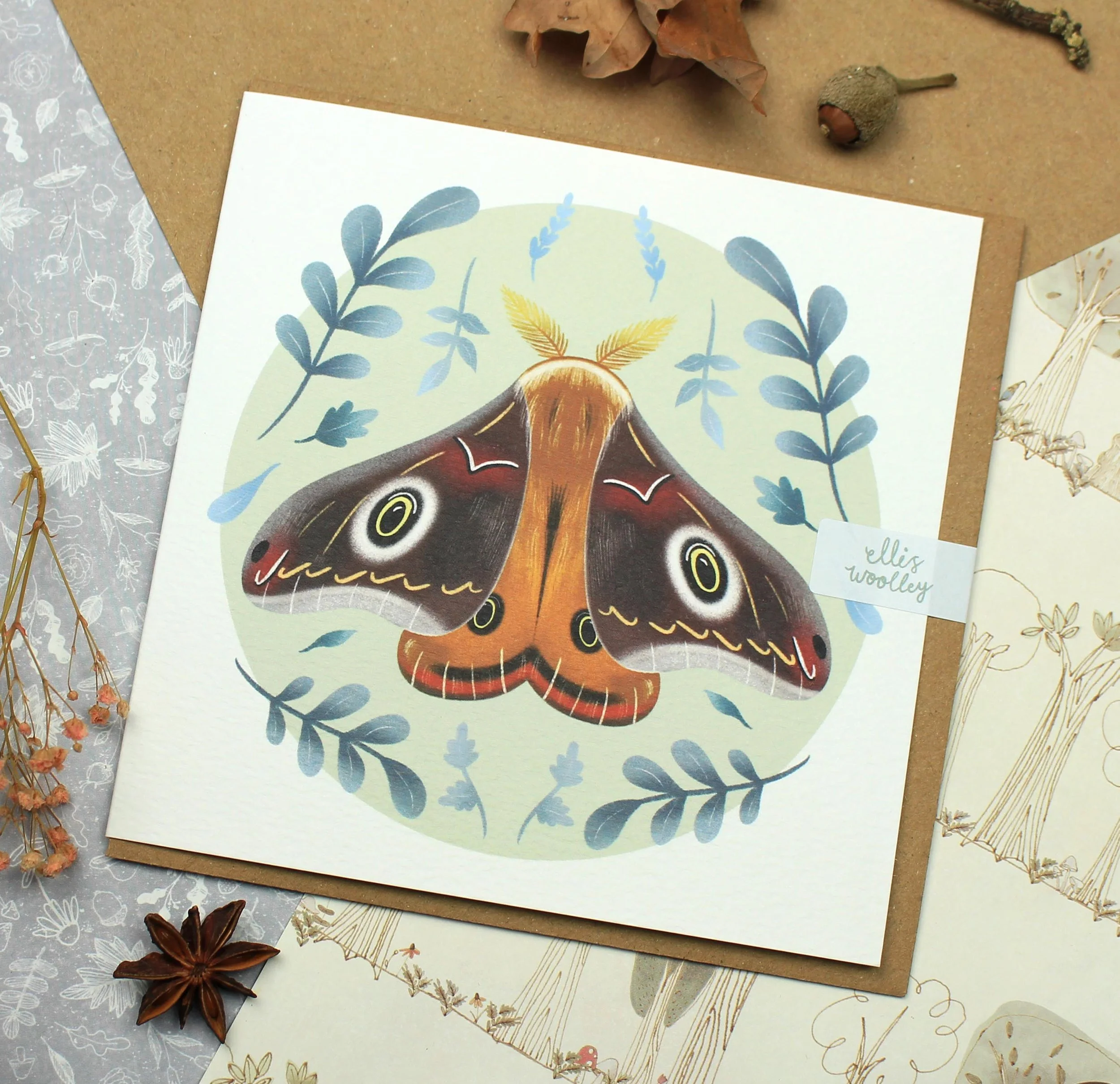 Moth Greeting Card Low Res.jpg