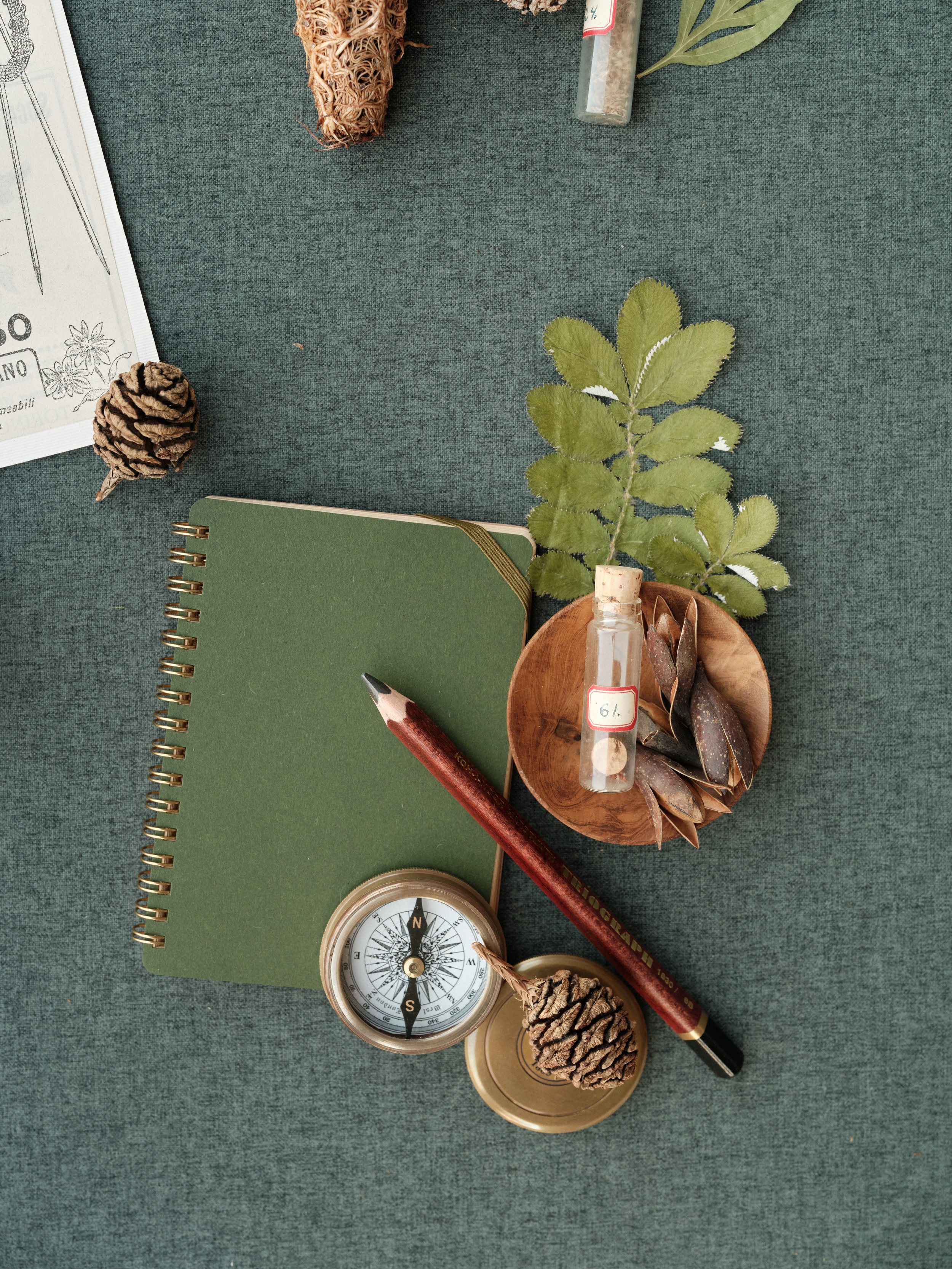 Overhead flat lay of sage green spiral notebook with vintage brass compass, dried leaves, pressed botanicals, and pinecones on teal green photography mat