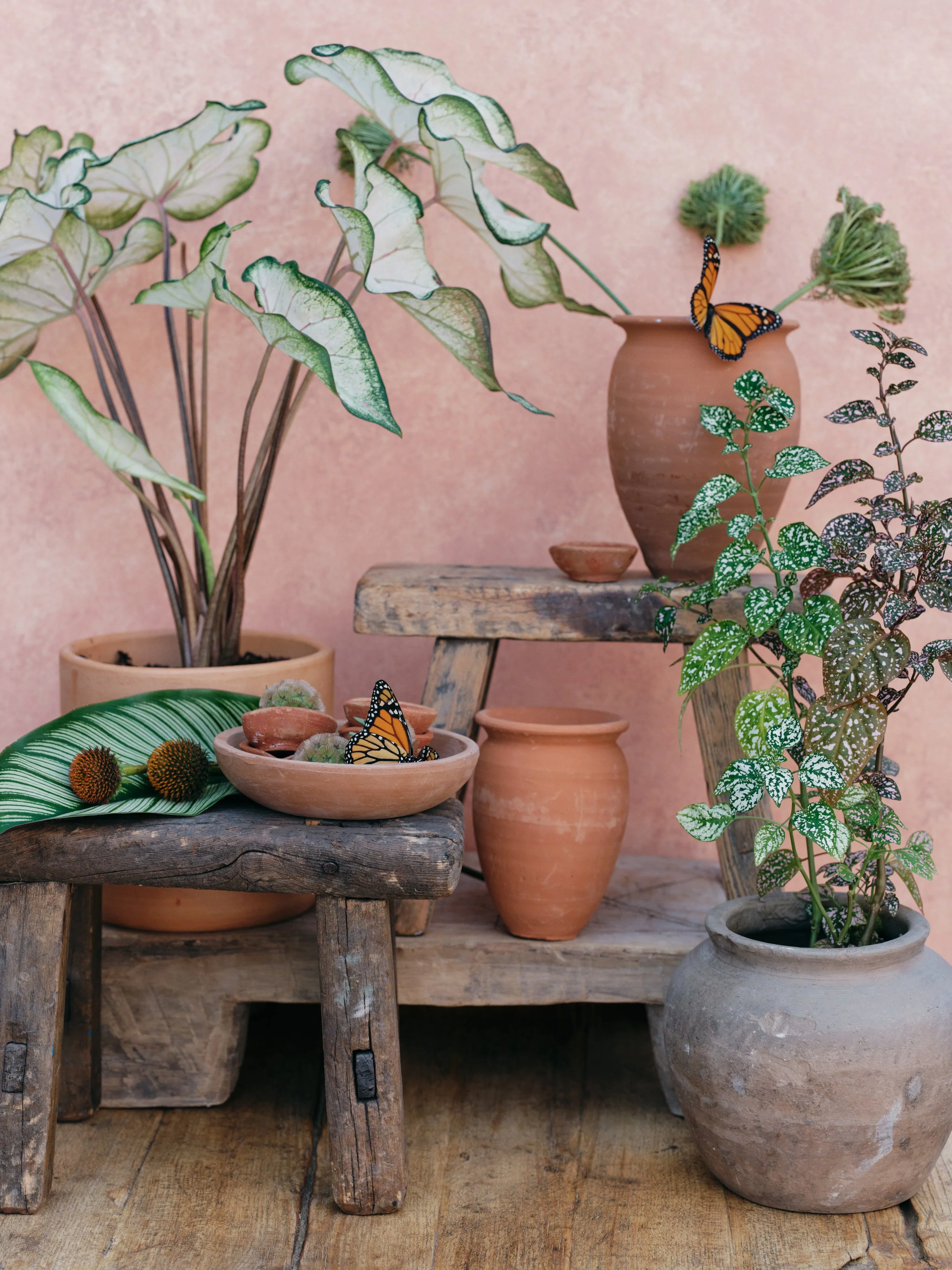 layered editorial still life with terracotta vessels and botanicals against a Chasing Stone Rose-Quartz hand-painted backdrop