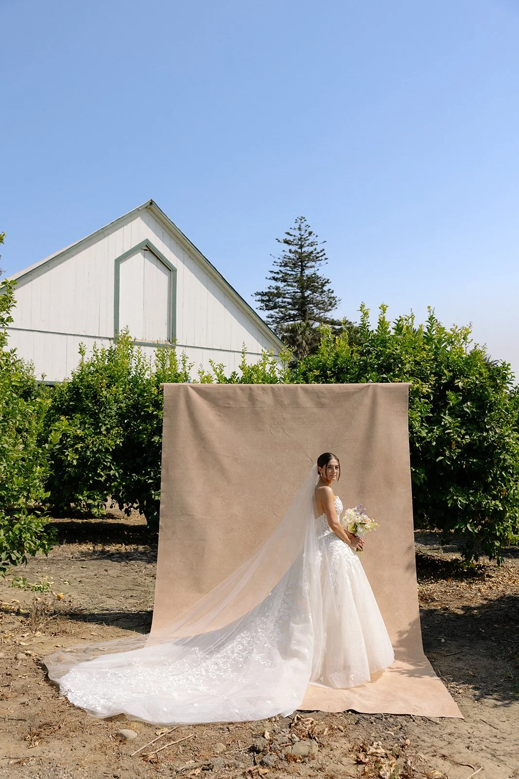 outdoor bridal portrait of bride in wedding dress standing in front of a neutral canvas backdrop
