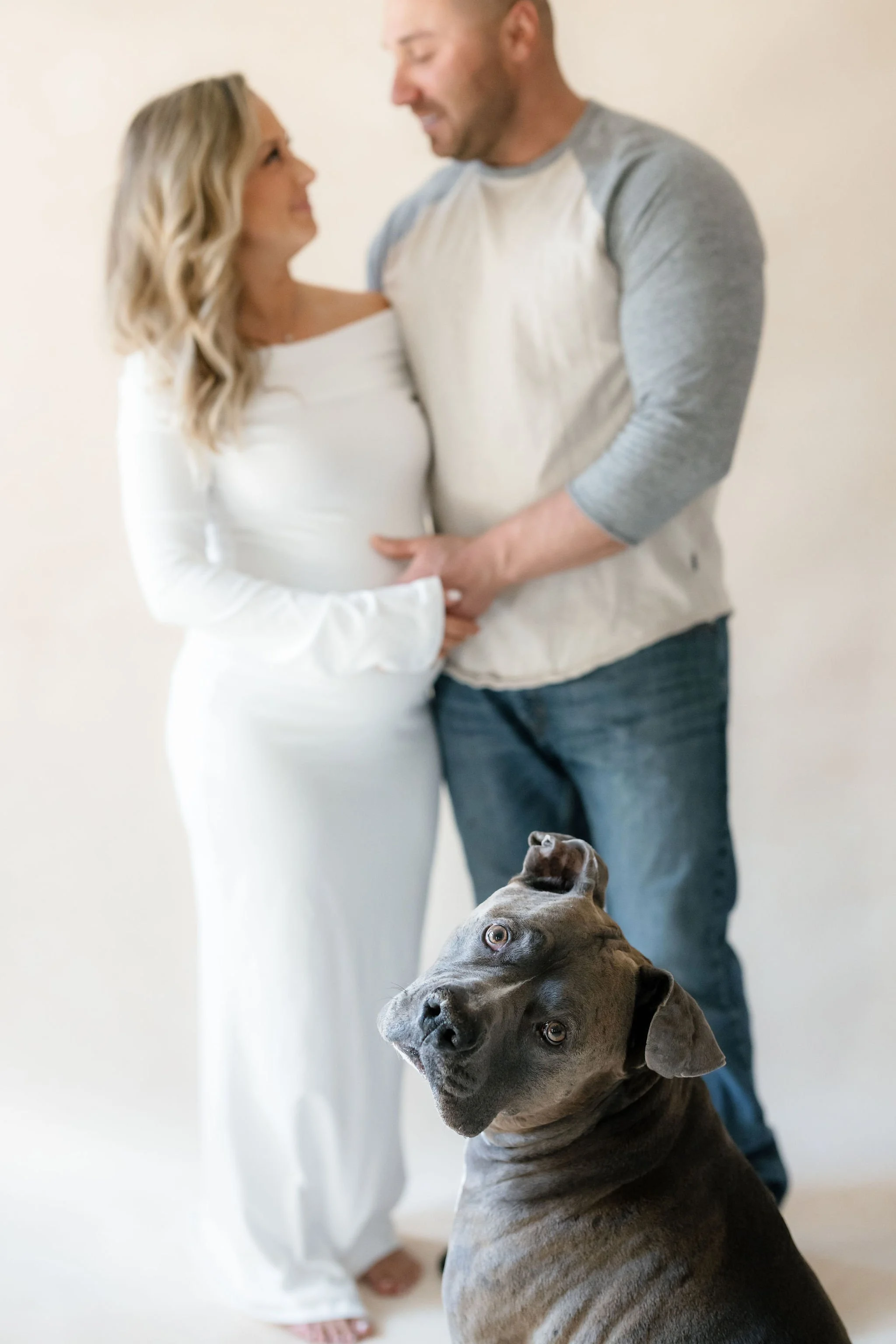 Expecting couple during a studio maternity photoshoot with their dog sitting in the foreground against a soft neutral backdrop