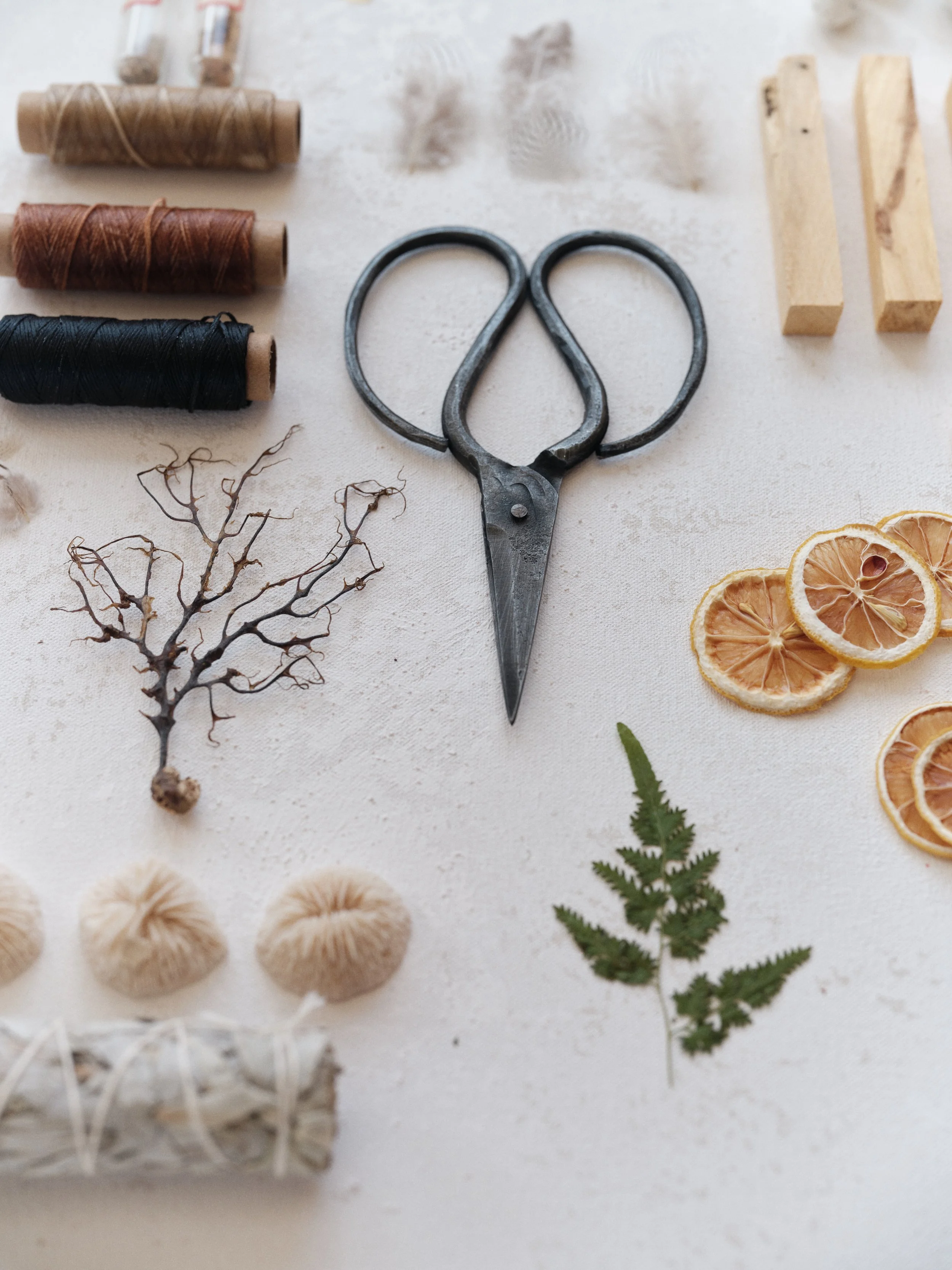 tudio flat lay with scissors, thread, and dried botanicals on canvas backdrop surface