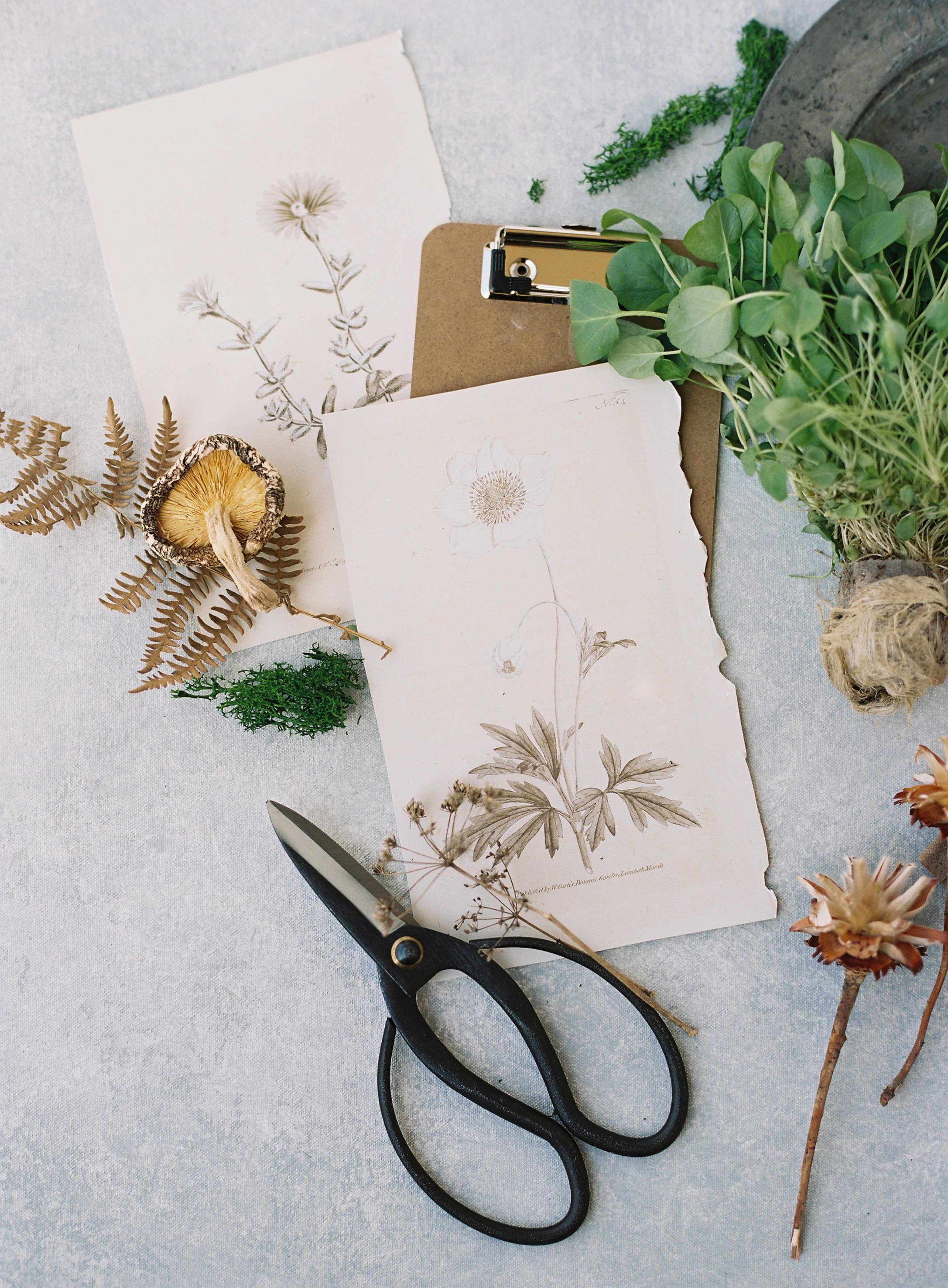 Professional flat lay composition showing texture variation with natural elements on hand-painted styling surface