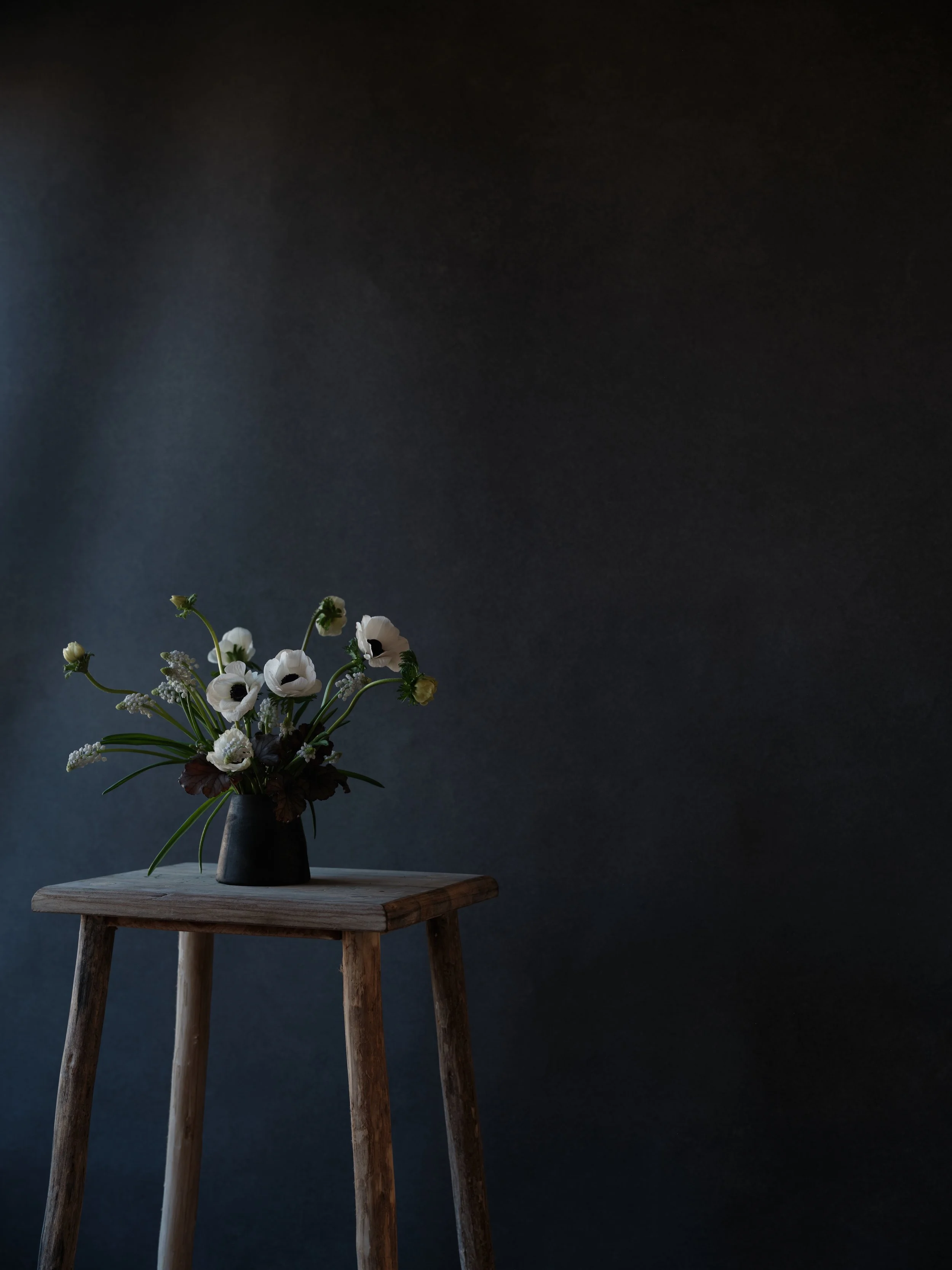 Carbon dark hand-painted backdrop showing complementary color contrast with white anemones creating dramatic separation and depth in moody editorial floral photography