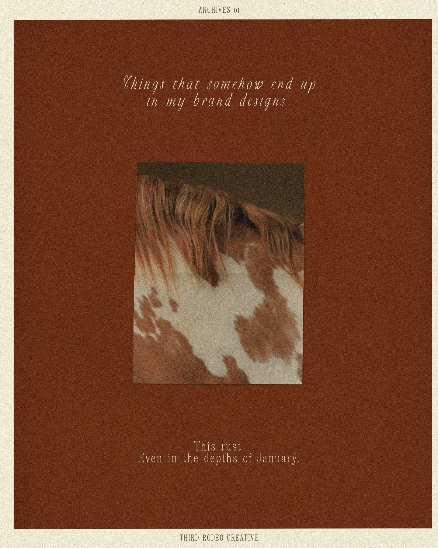 Things that somehow end up in my brand designs [ a series ] 😆

// The rust color from that barn I pass on walks with Cillian and Fiddle.

// The texture of book covers at the local bookstore.

// The way morning light hits my coffee cup (very specif