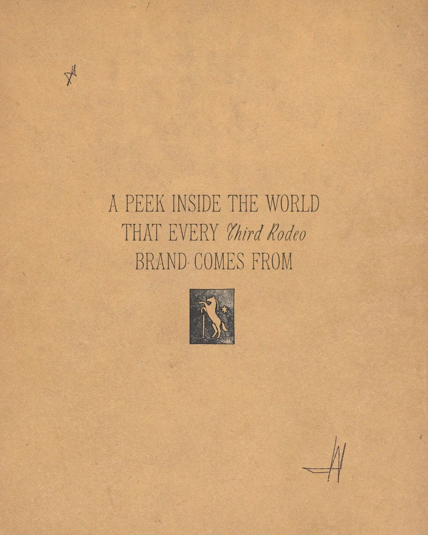 I always find it kind of hard to explain my aesthetic to people.

Like I could say &ldquo;organic&rdquo; and &ldquo;hand-drawn&rdquo; and &ldquo;warm&rdquo; and those are all technically true but they don&rsquo;t really capture it?

It&rsquo;s more l