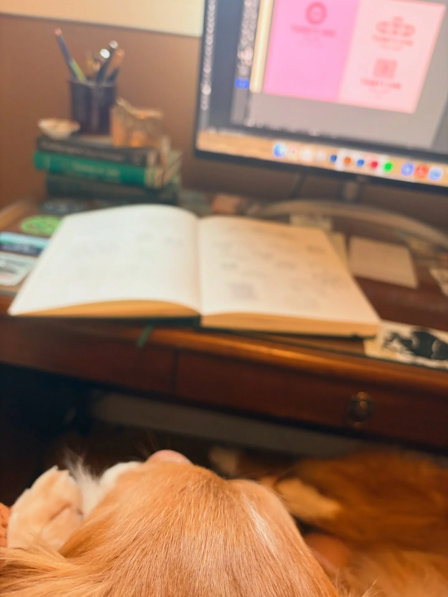 Wednesday morning studio energy. The part where the coffee is fresh and the ideas haven&rsquo;t gotten complicated yet ☕🧡