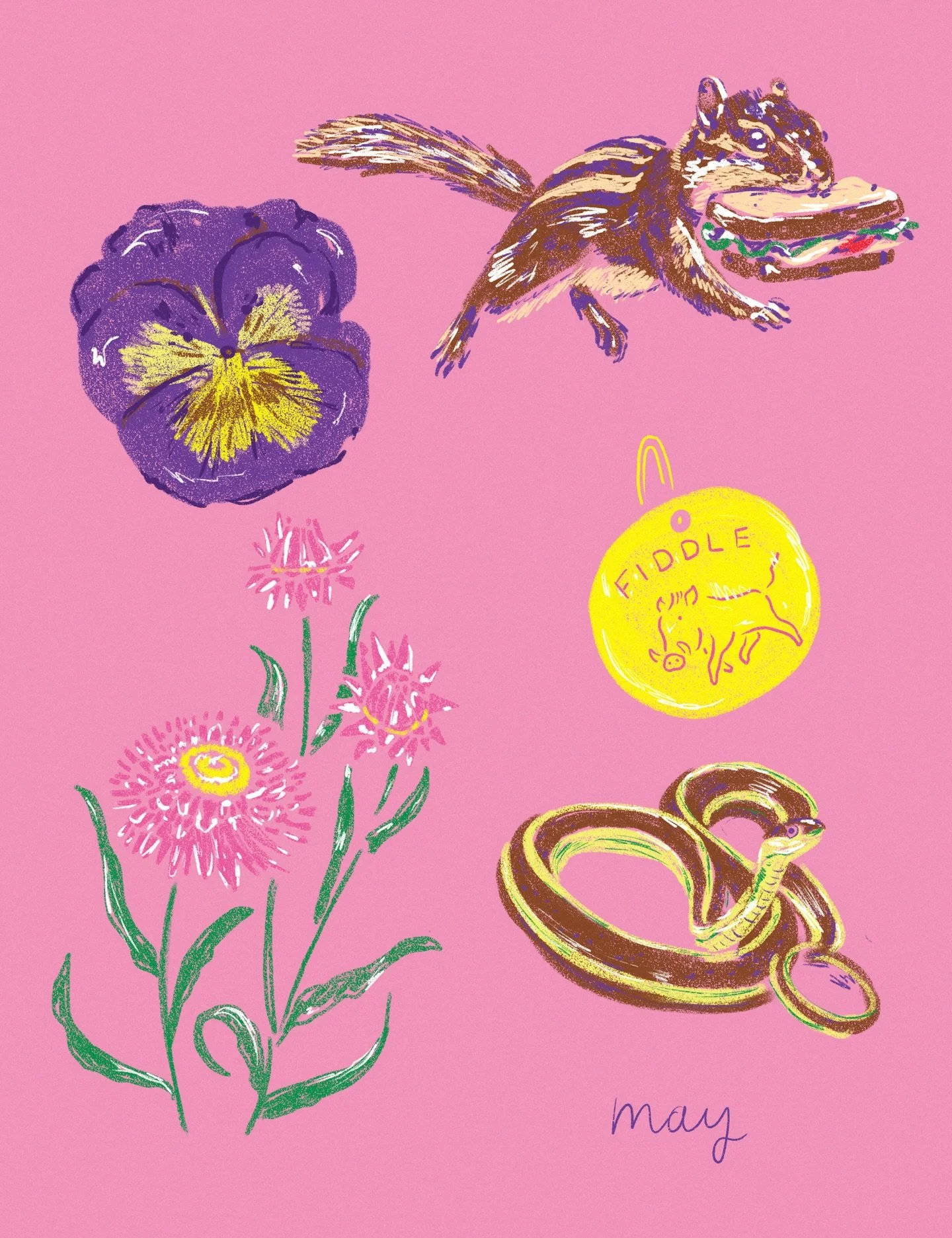 Oh May. Flowers, camping and critters.