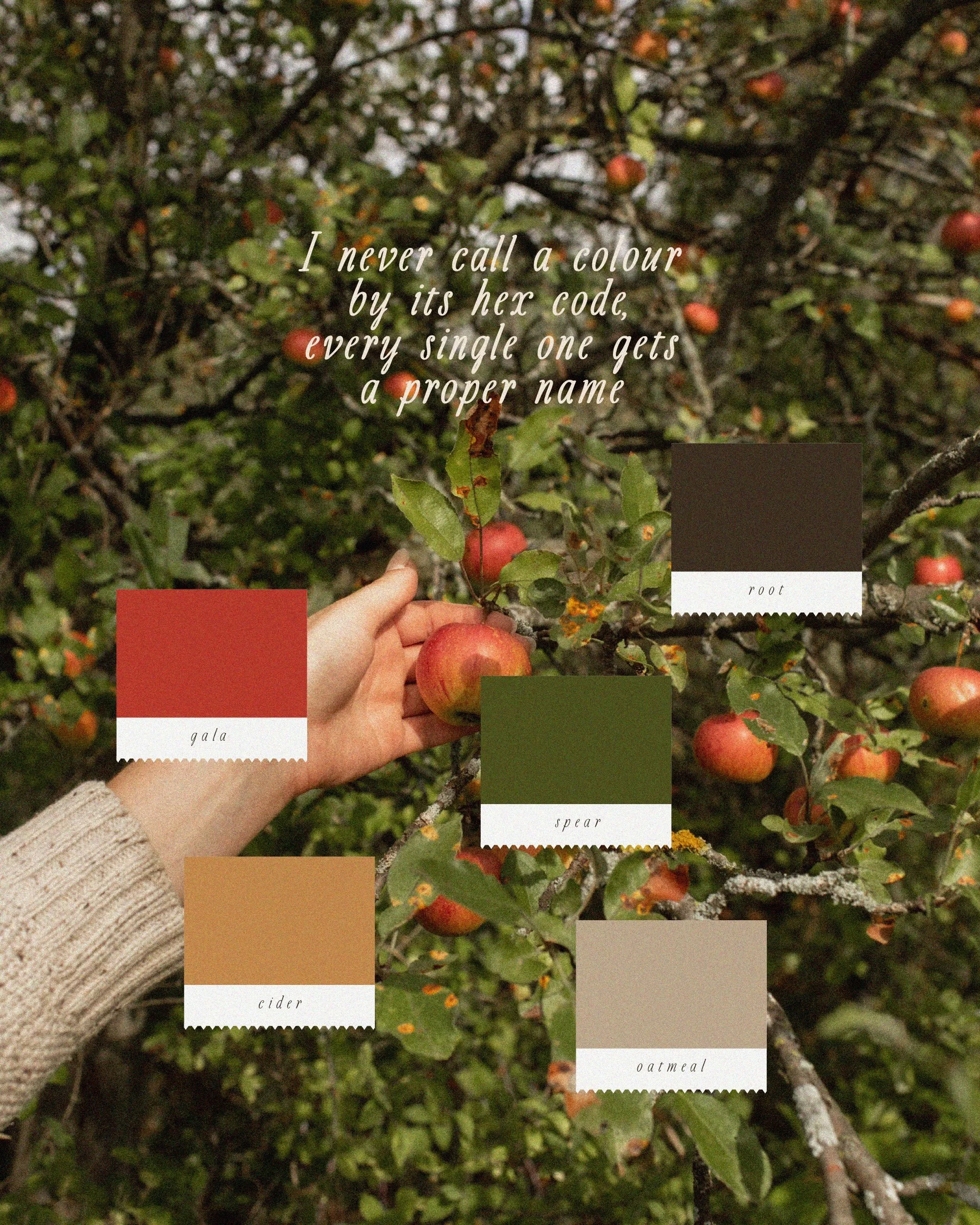 I will happily spend longer naming a colour than I spent choosing it, and no, I won&rsquo;t be apologising for it.

Because &ldquo;pale pink&rdquo; tells you nothing, but Frosting tells you exactly how sweet to be, and Saddle tells you to go warm and