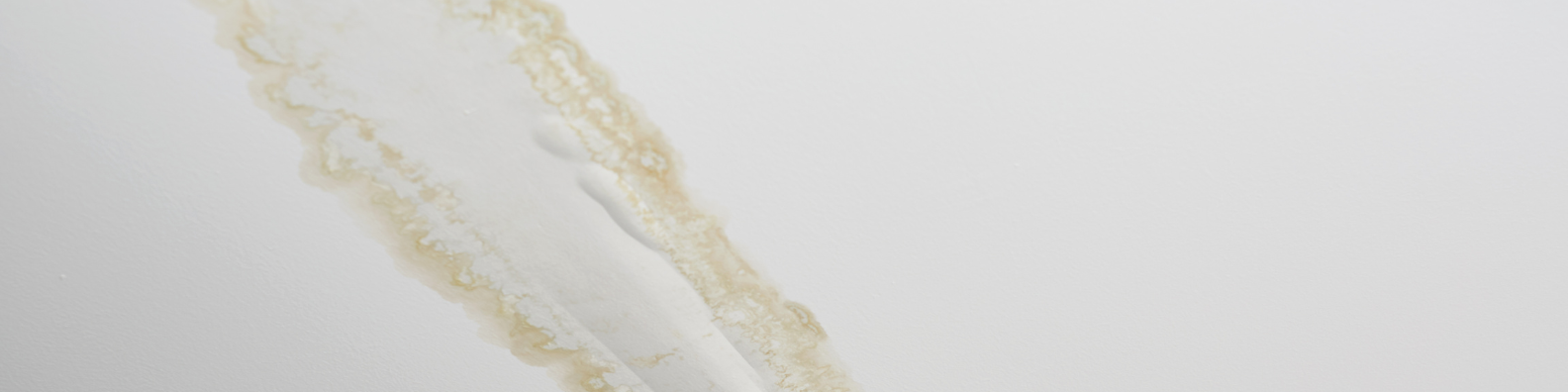 drywall repair experts