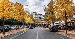How Do I Budget for Ongoing Costs Like Maintenance, Taxes, and Insurance in Fort Mill?