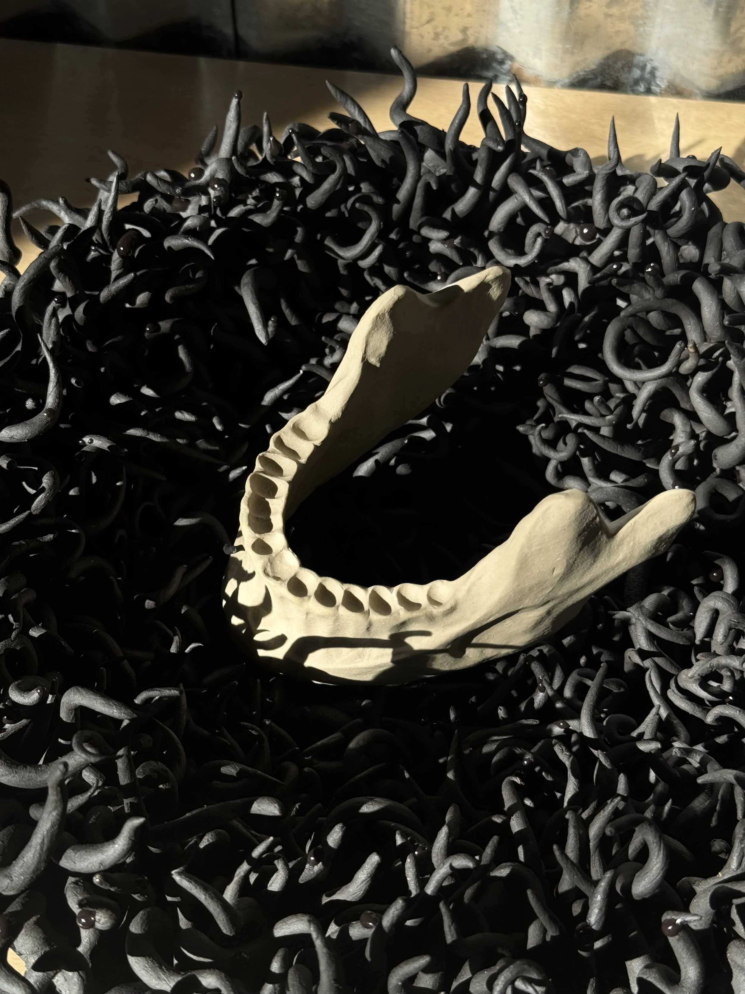 Netting: A Variation on a Dream