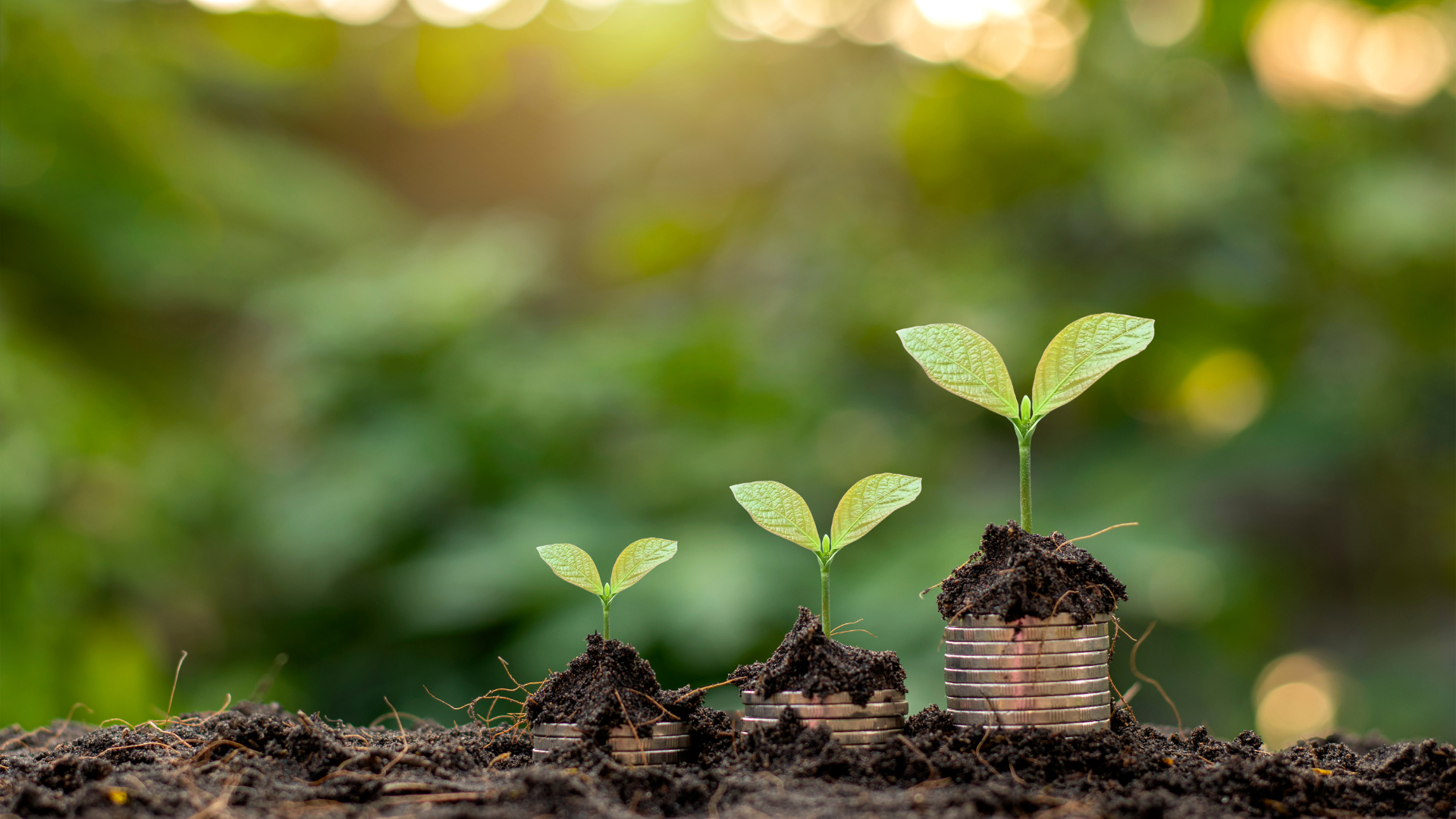 Scale With Structure: How a Solid Strategy Supports Long-Term Growth