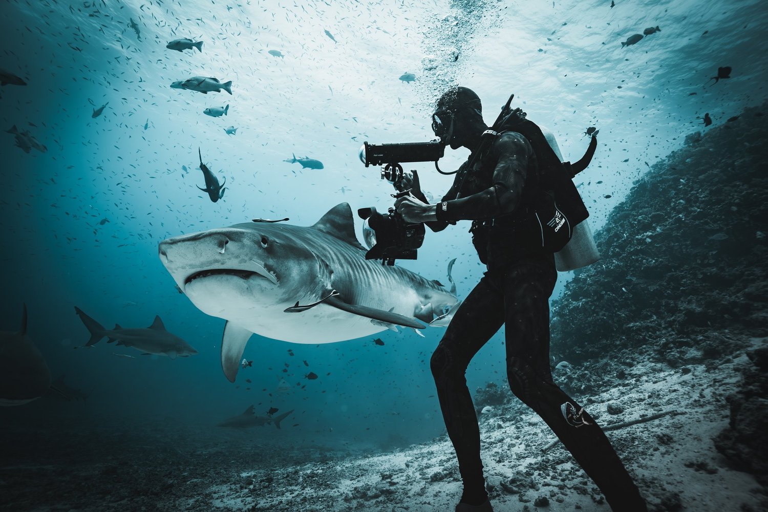 A moment underwater in Beqa Lagoon
