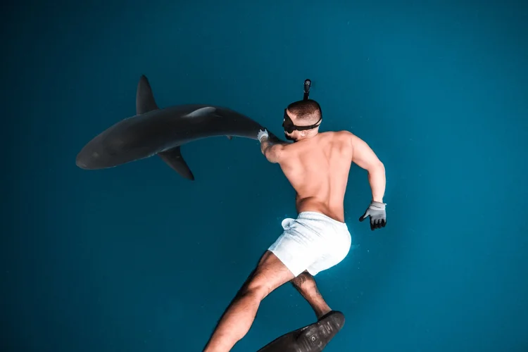 Freediver alongside a shark