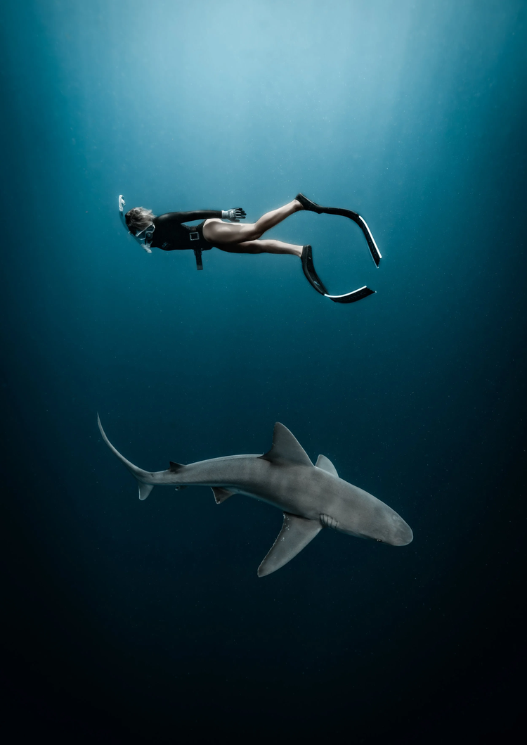 A diver and a shark in open blue water