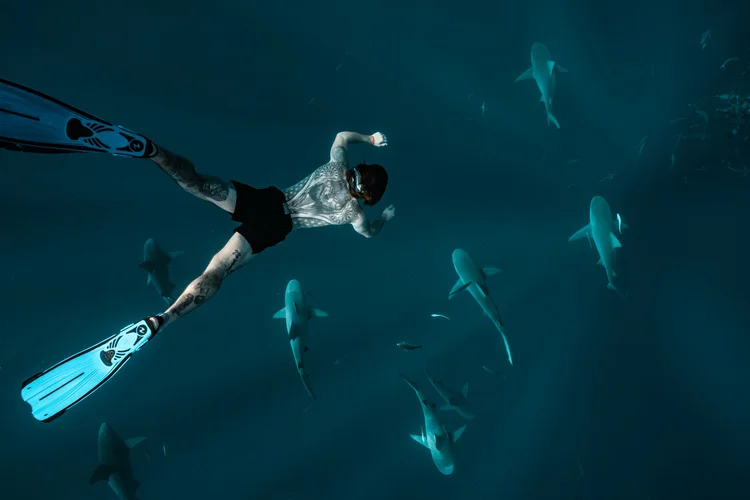 Freediver swimming above a group of sharks