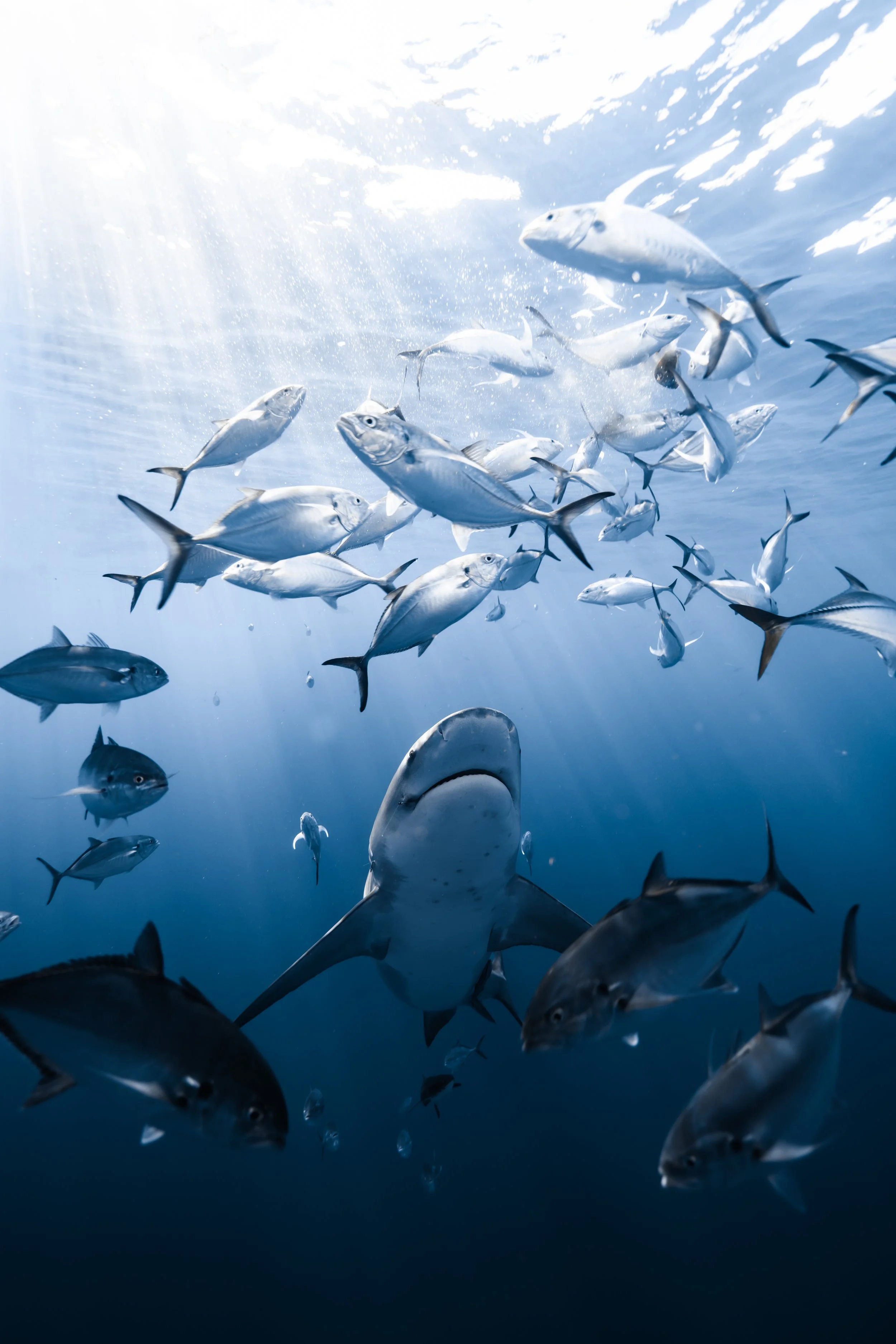 dec 6th 1030-174.jpg