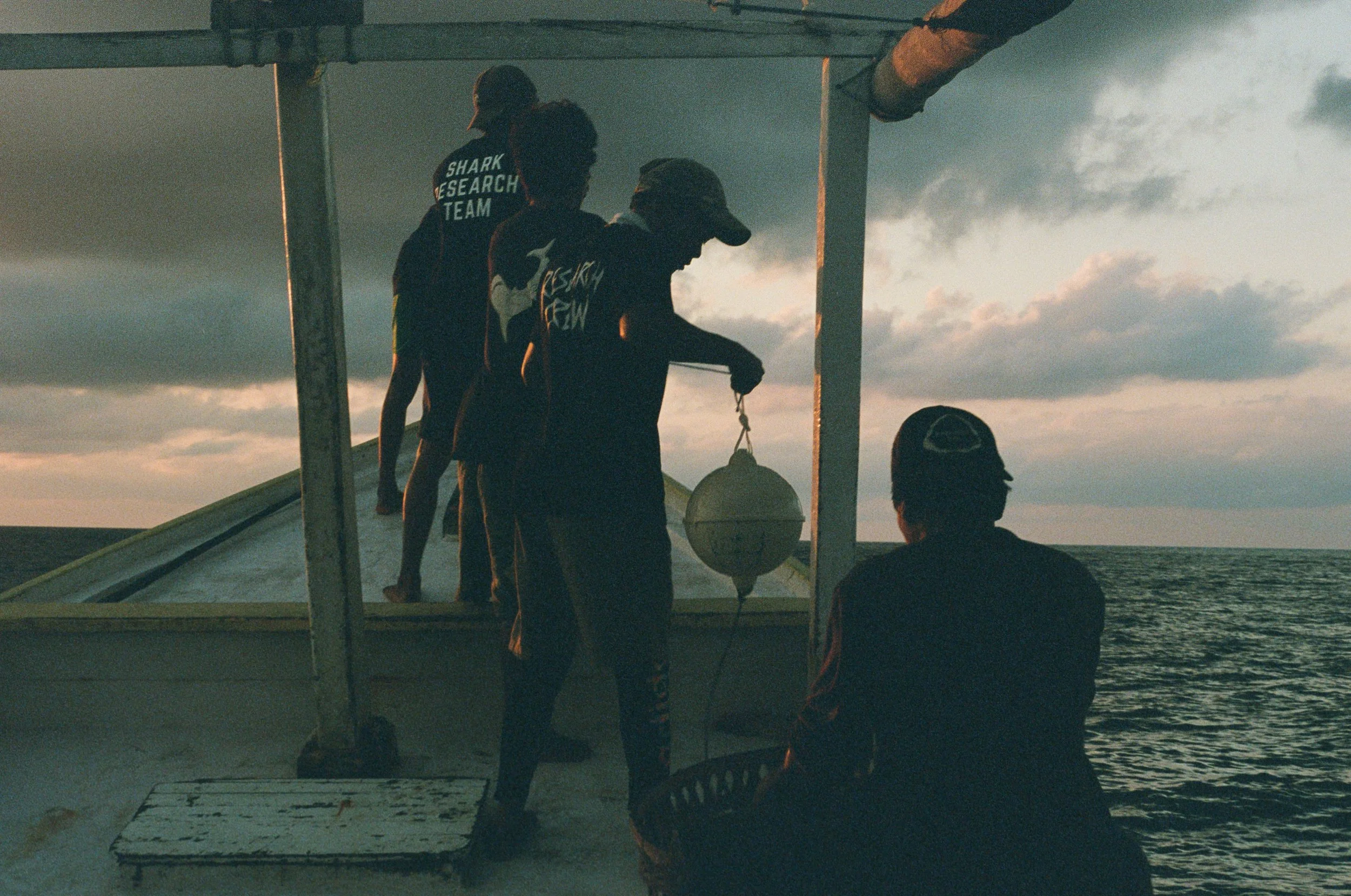 Members of the shark research team working aboard the boat