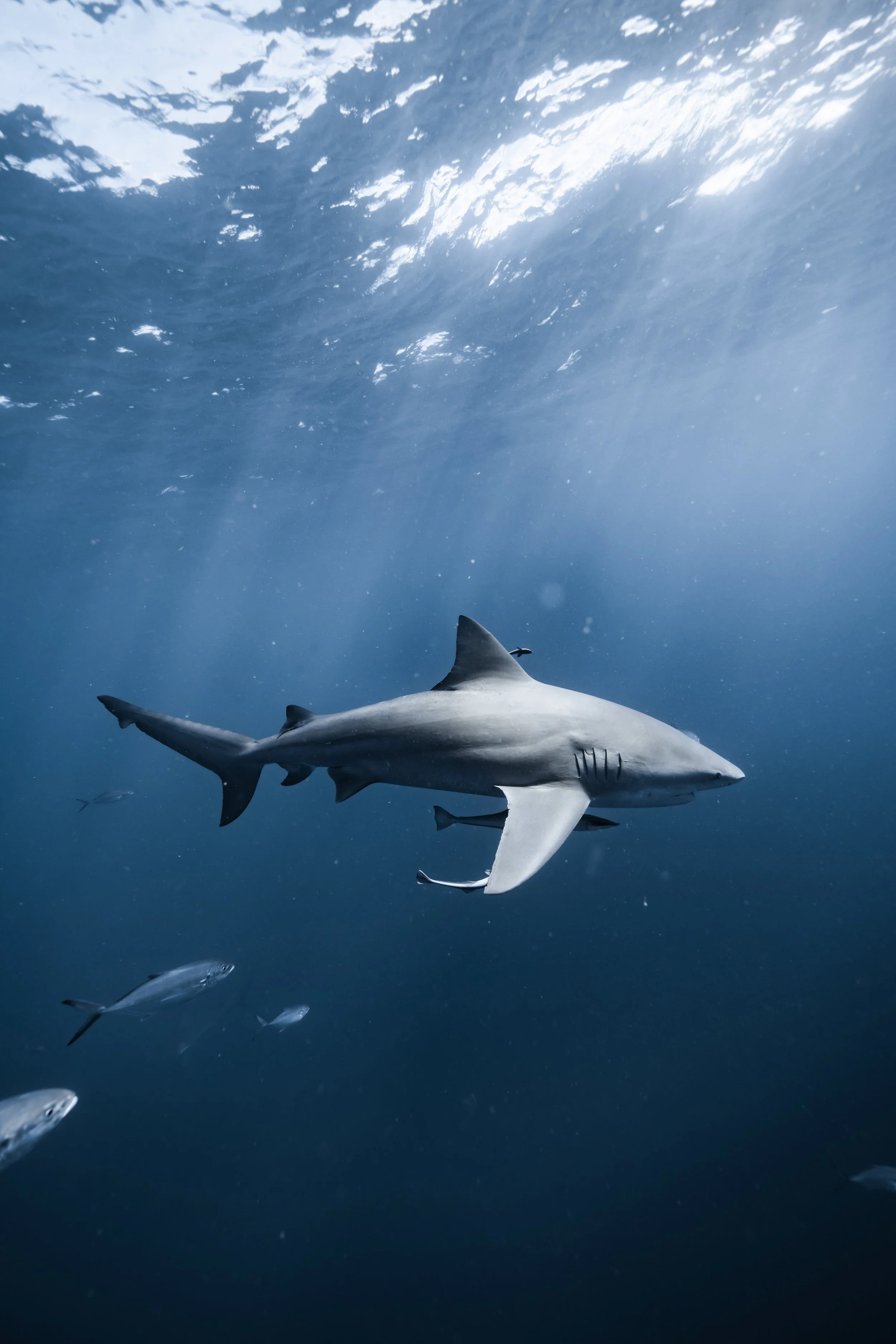 dec 20th 1030am_-230.JPG