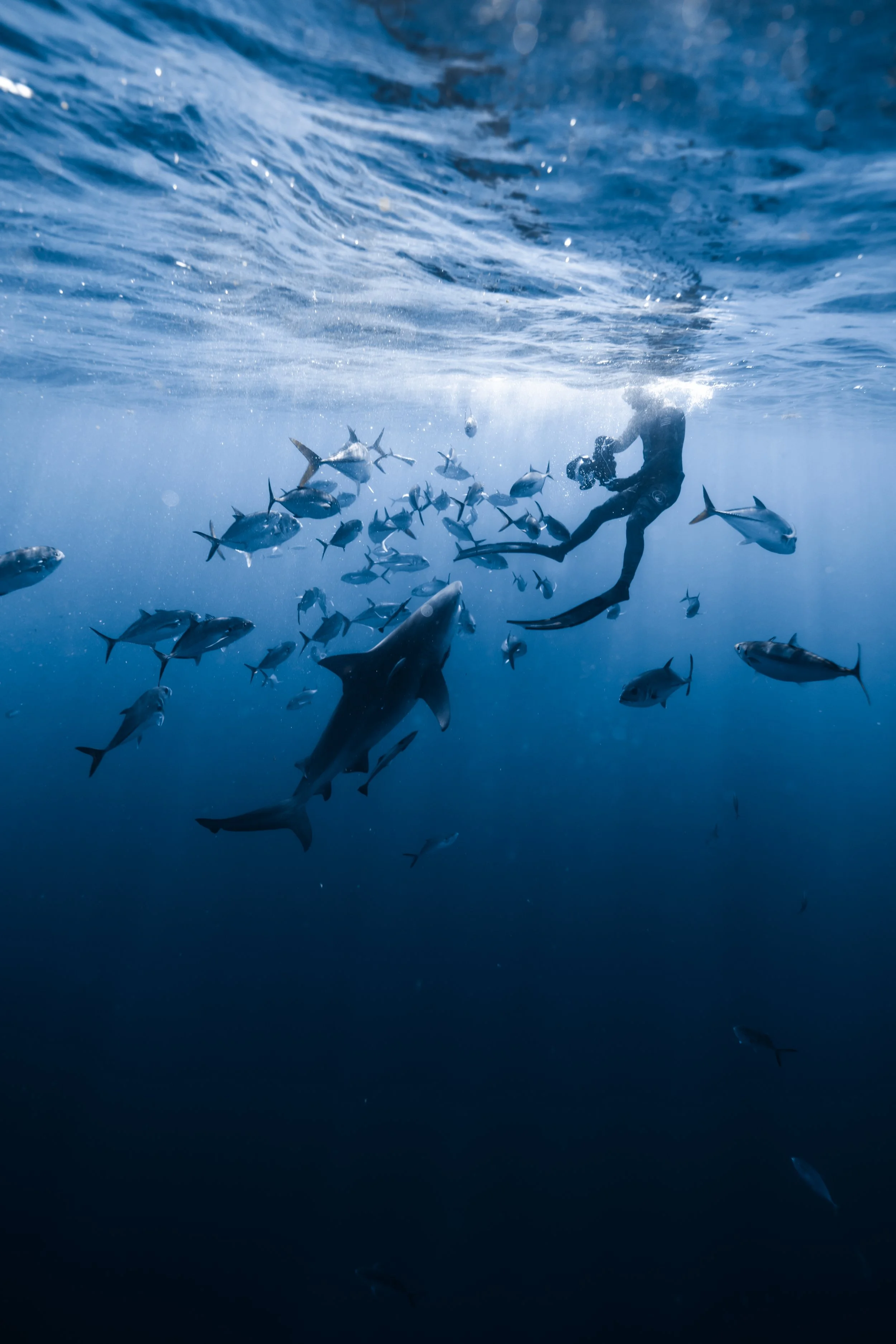 dec 4th 10-30-19.JPG