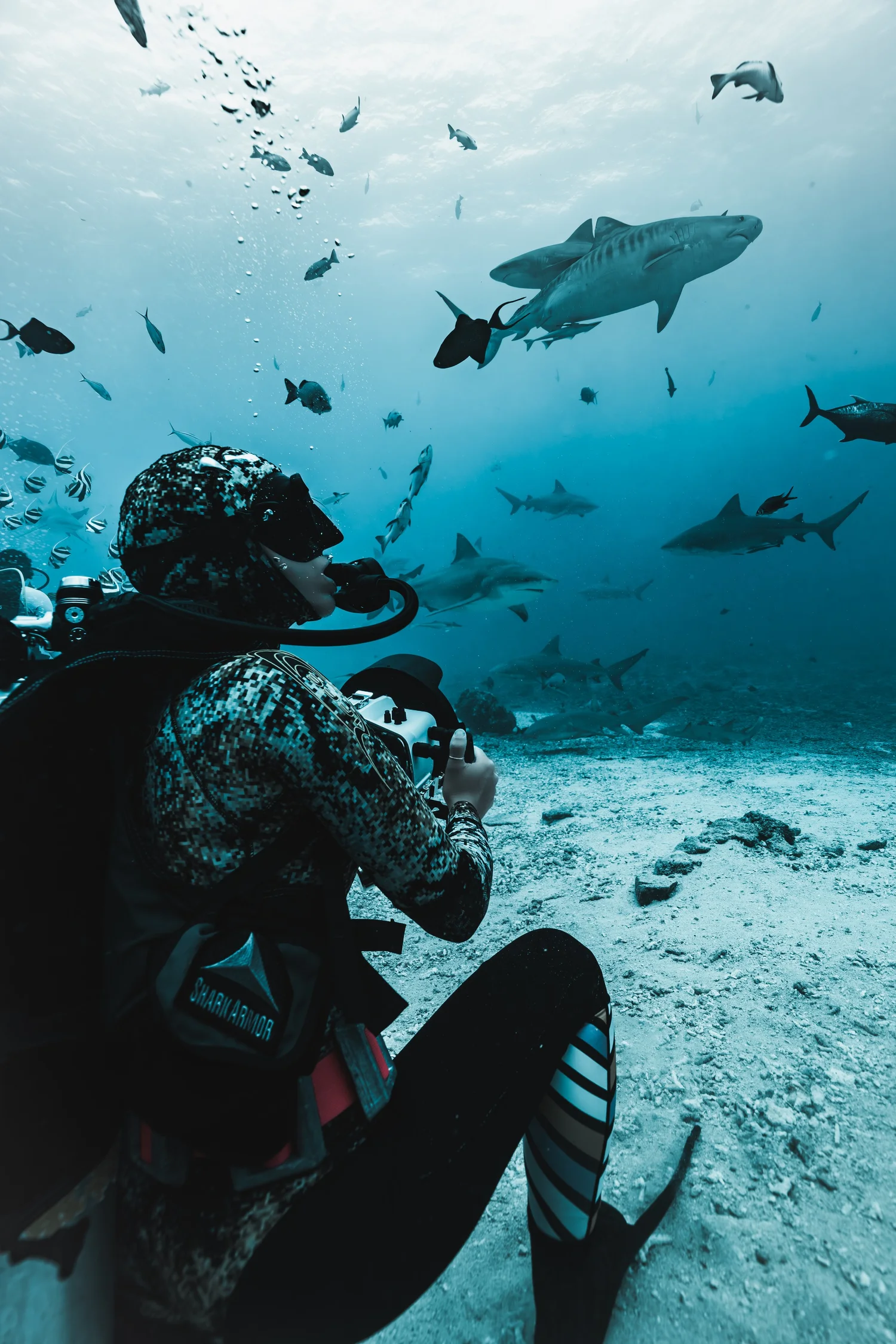 Fiji expedition · Beqa Lagoon · photo 5