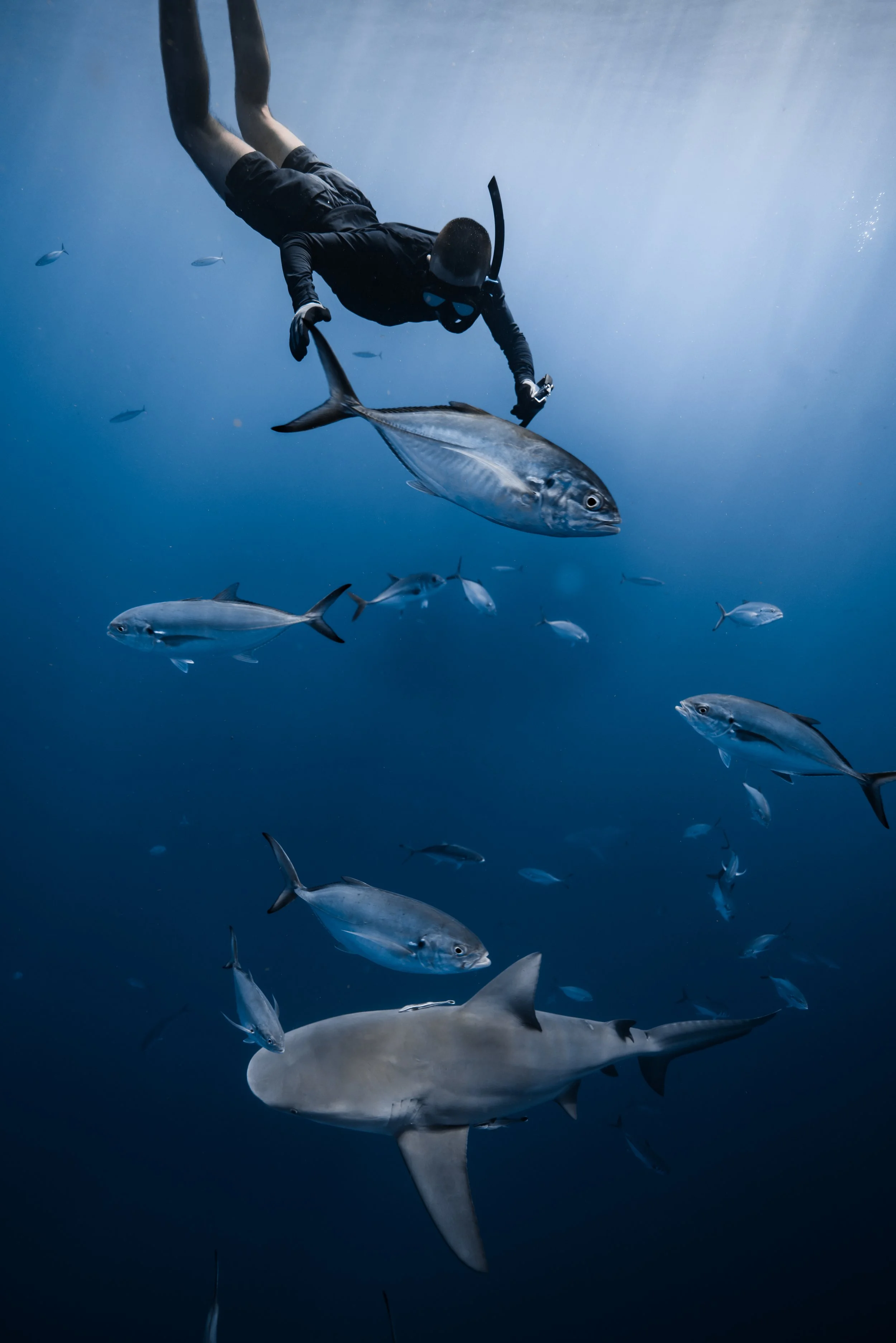 dec 4th 10-30-59.jpg