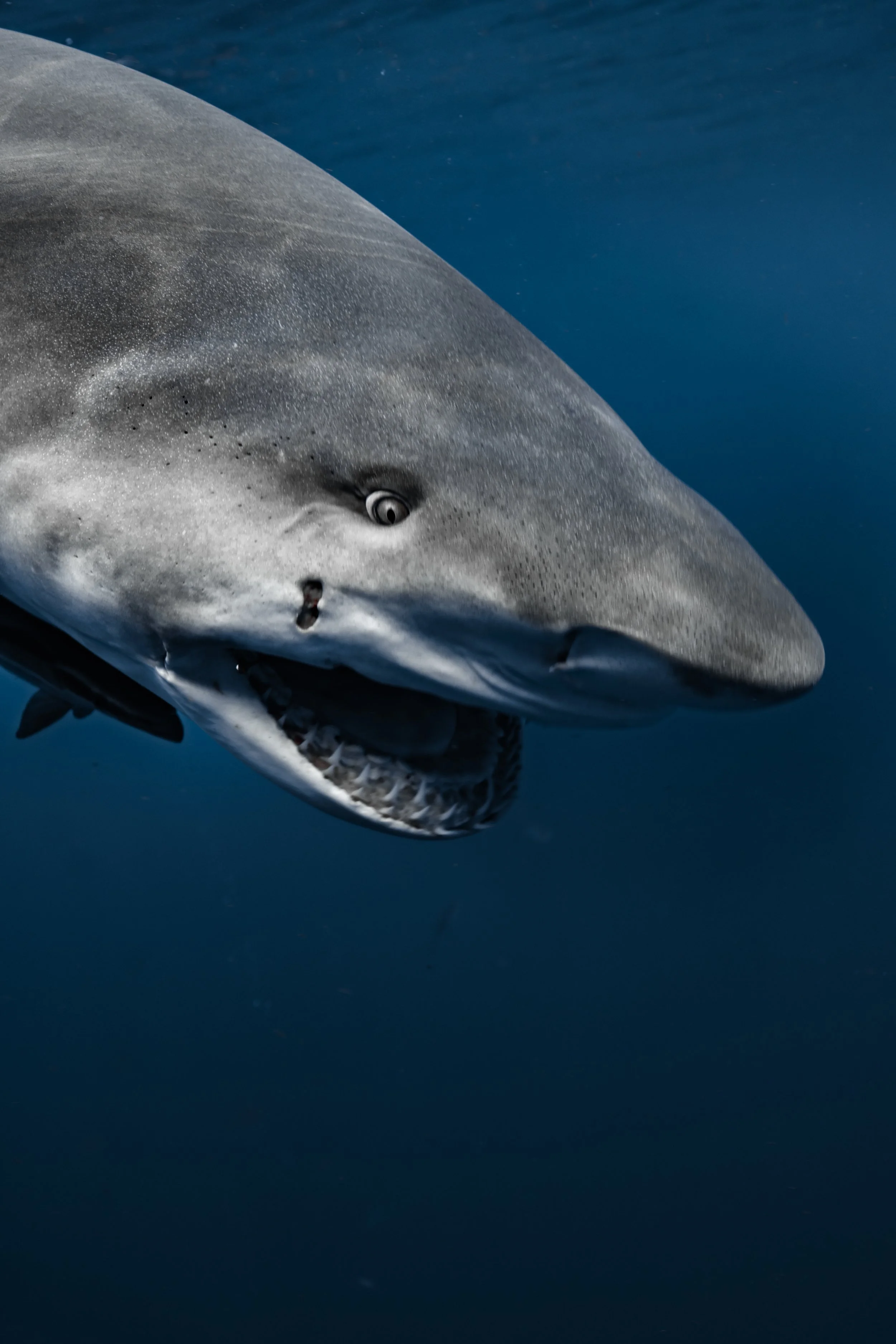 sept 4th 1030 1-34.JPG