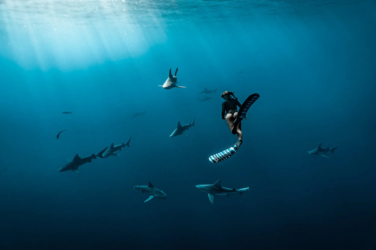 Freediver and sharks in clear blue water