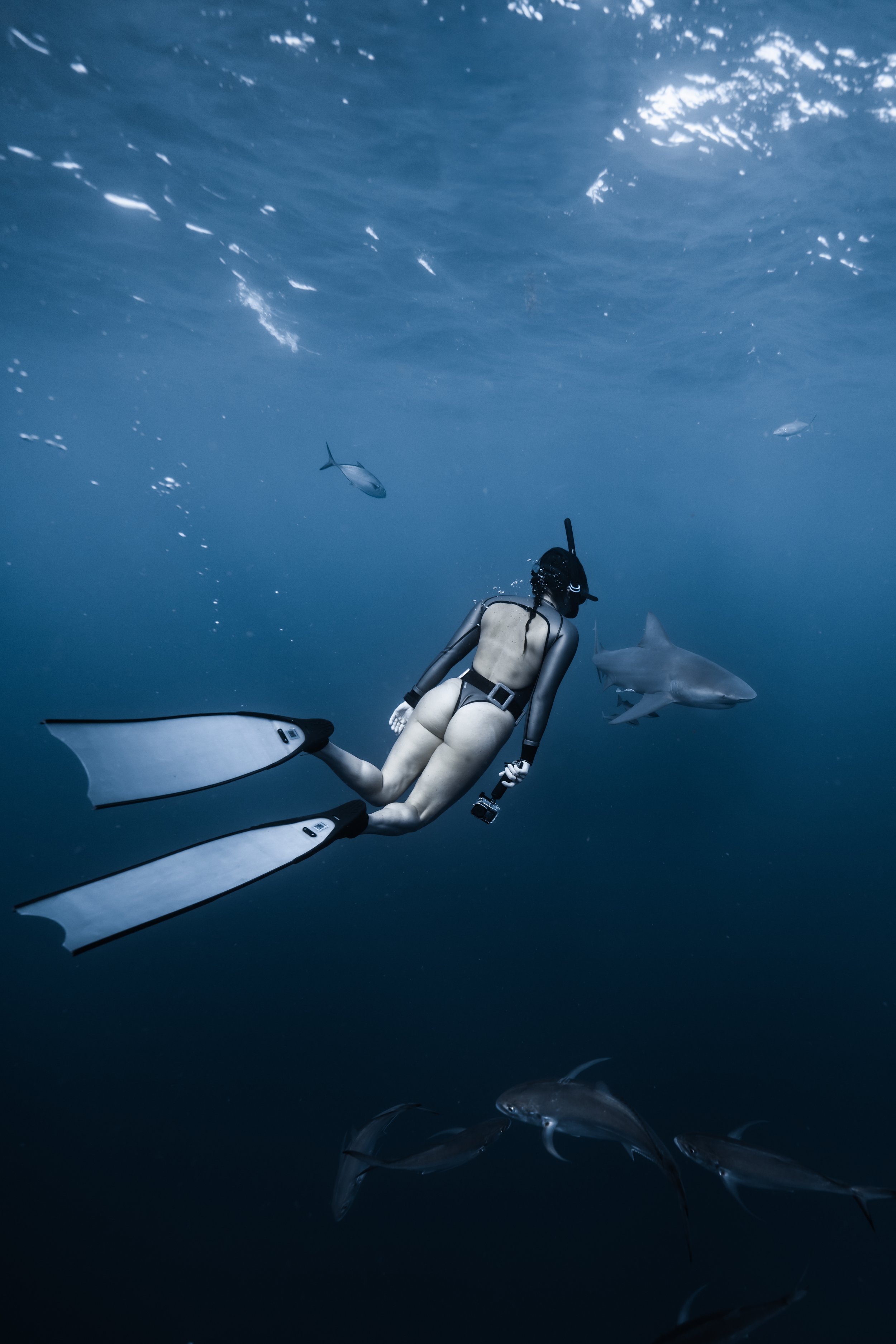 dec 20th 1030am_-97.JPG