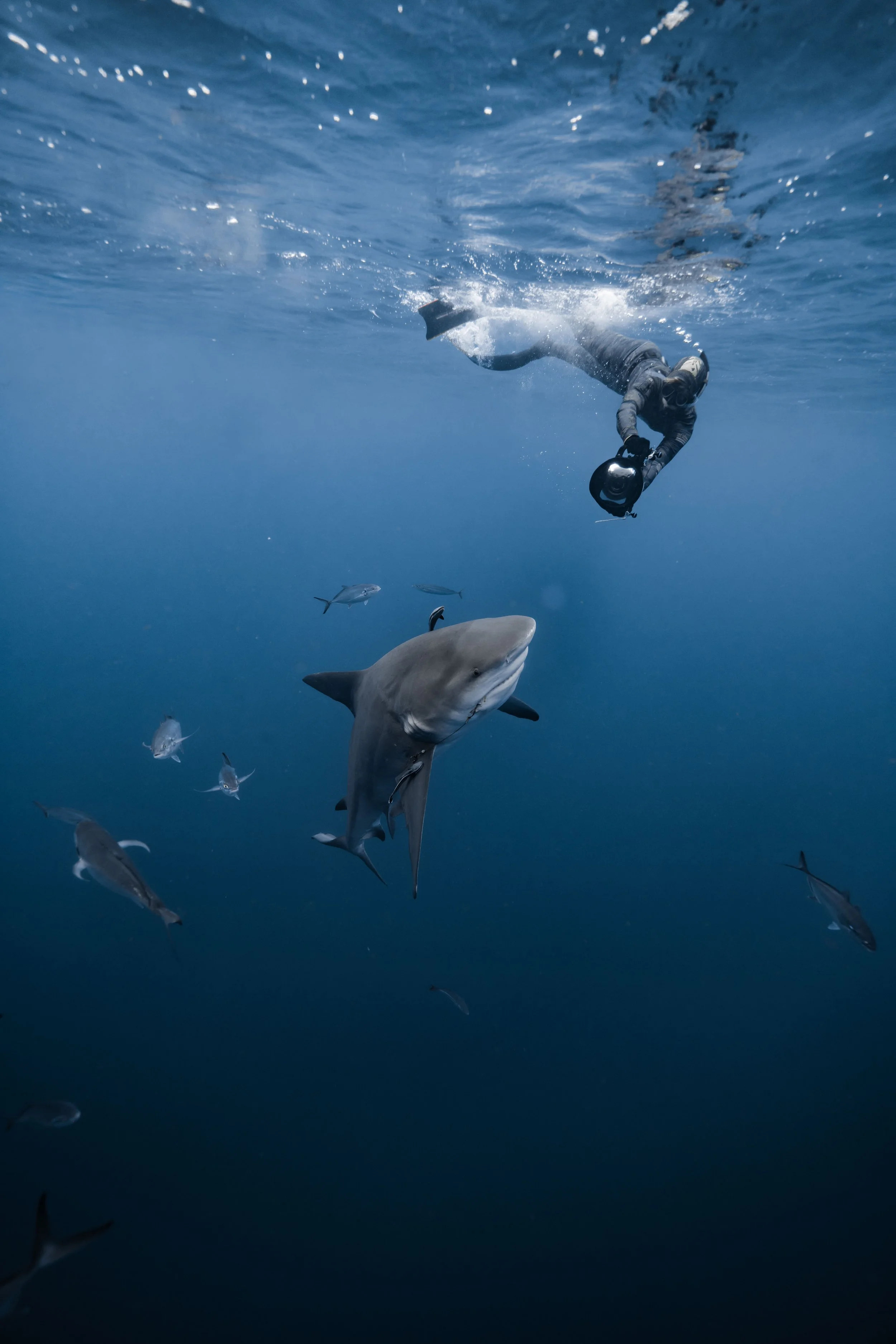 dec 14th 10 am_-245.jpg