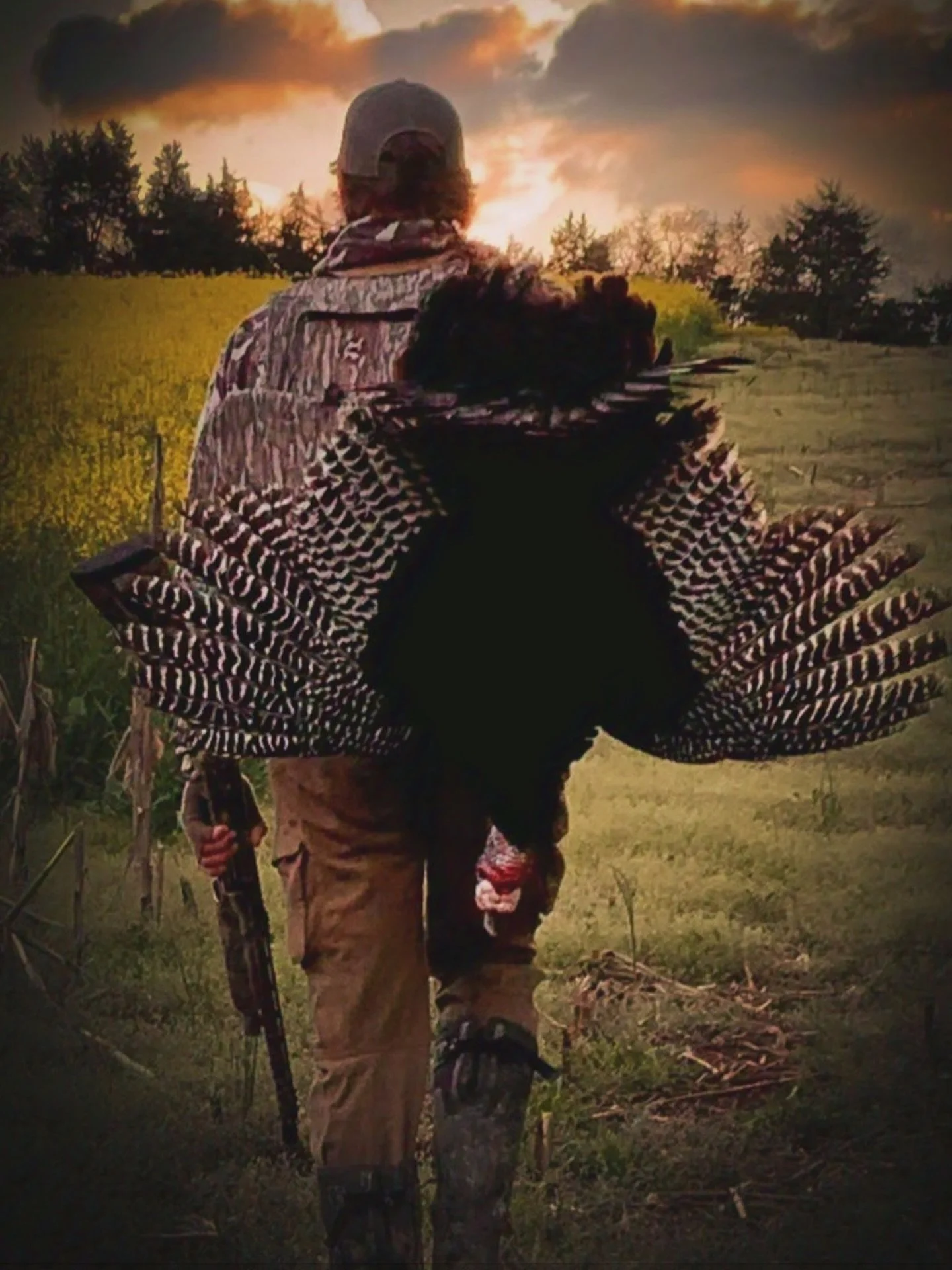 Happy Thanksgiving! 🦃 May today remind you of just how much there is to be grateful for. ✨✨ 

🇺🇸