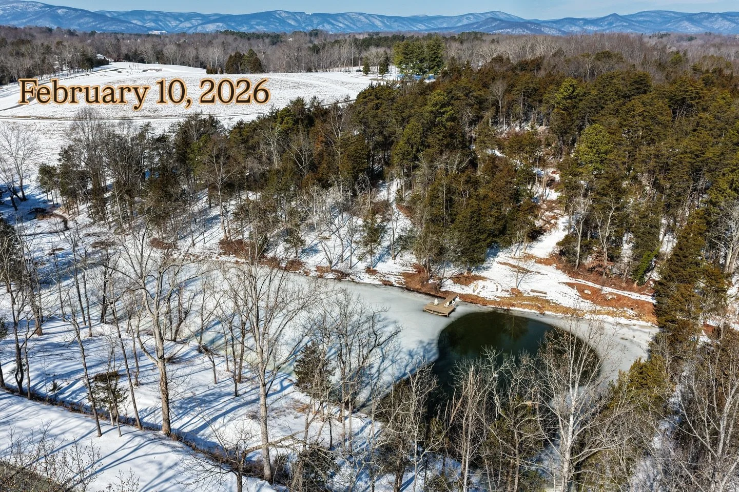 Before ➝ After&hellip; almost! Work in progress, but the difference speaks for itself.

We&rsquo;re clearing out an overgrown pine and cedar thicket to restore both the land and the pond below. Removing these trees helps reduce acidic runoff into the