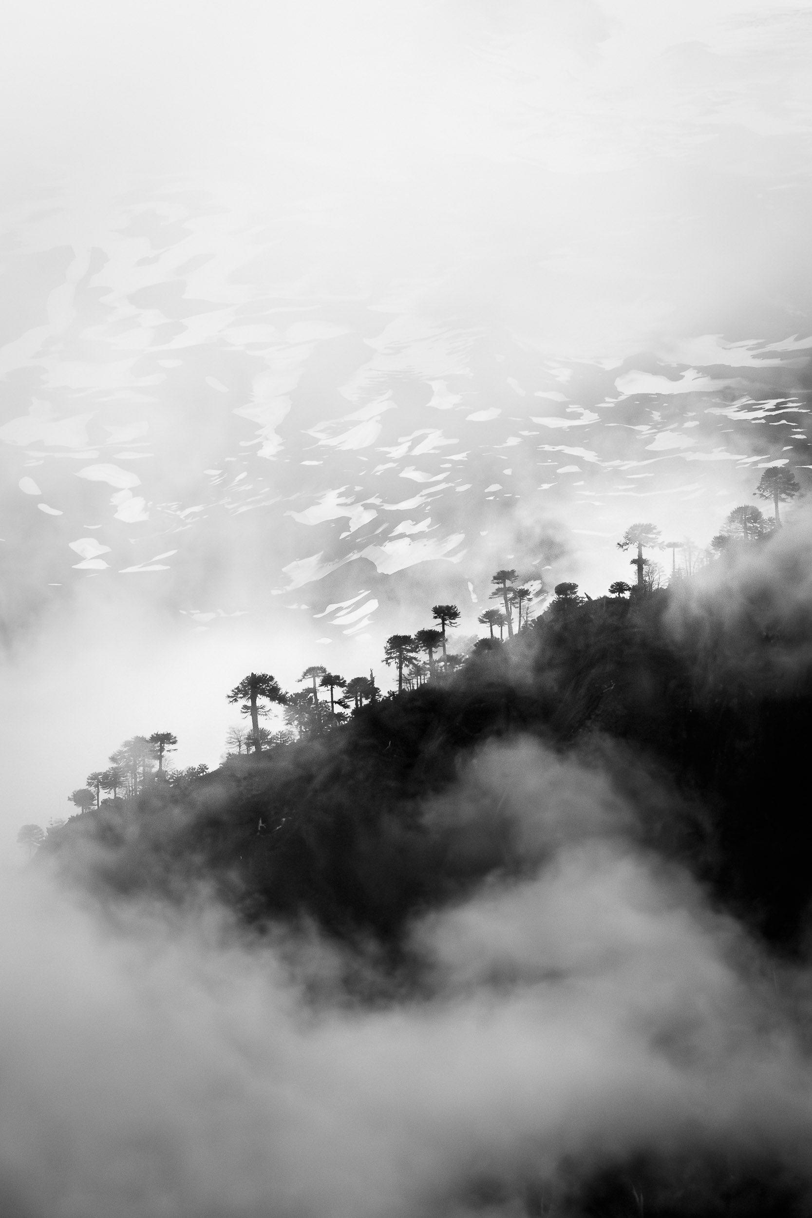 portafolio-28.jpg