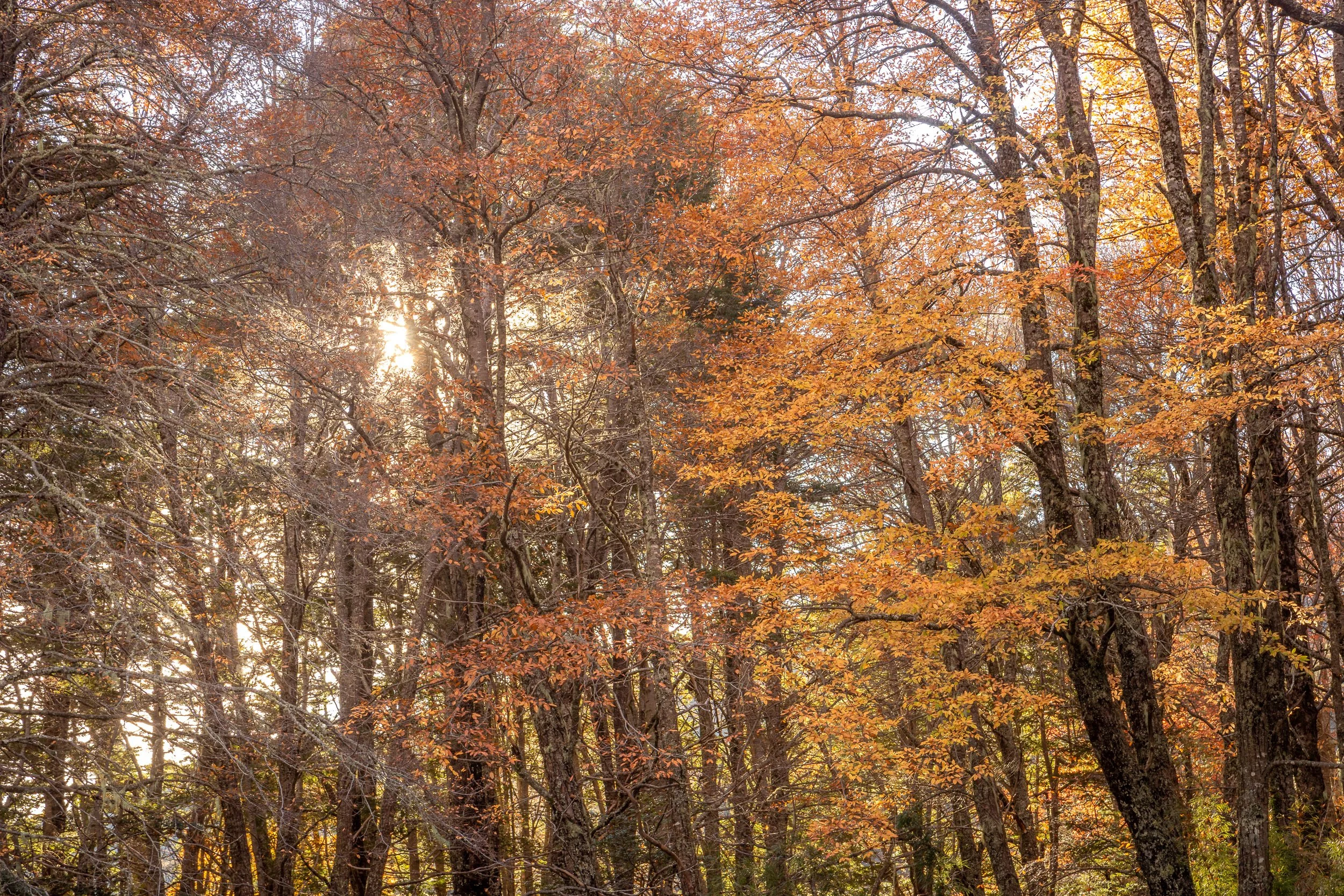 portafolio-23.jpg