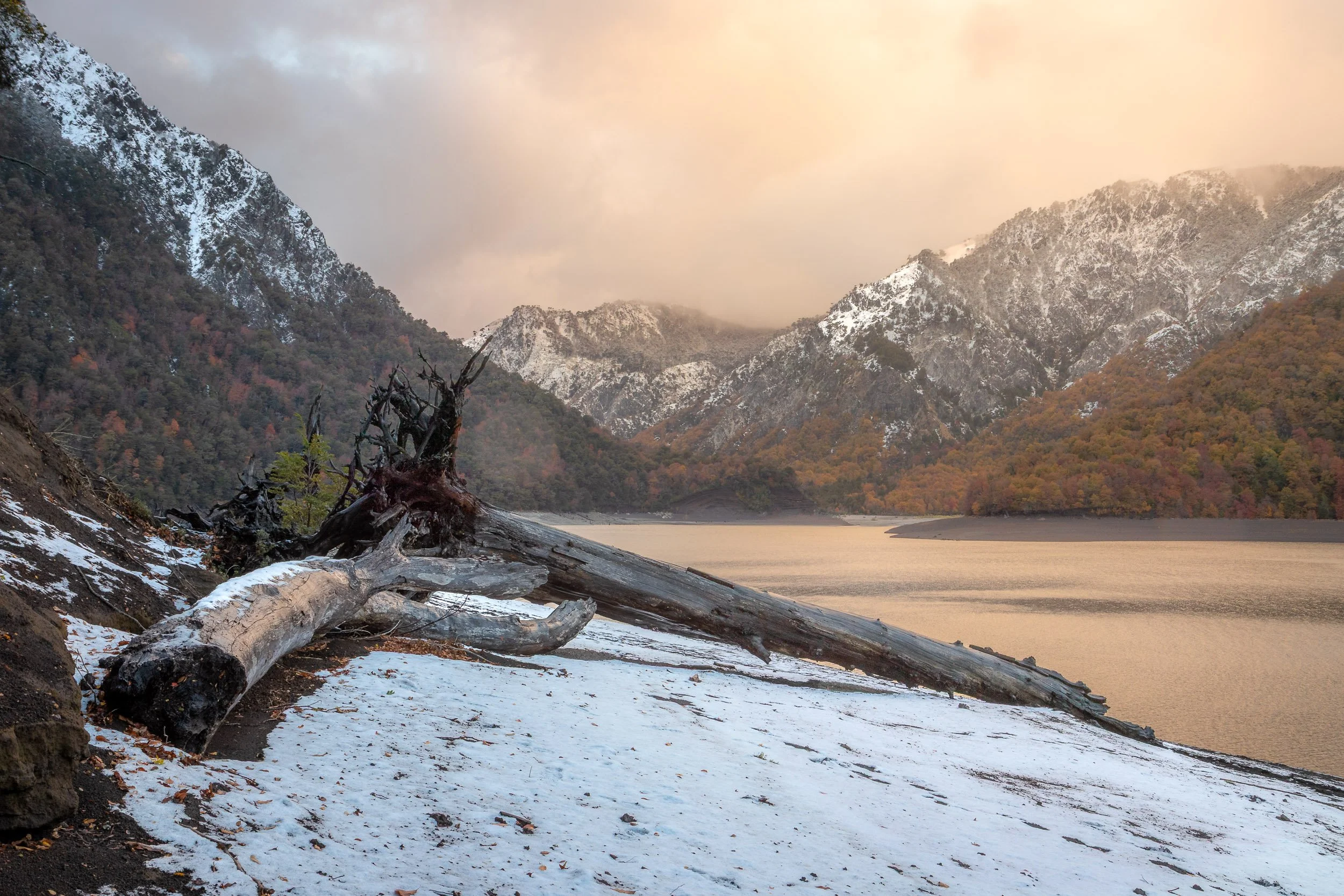 portafolio-38.jpg