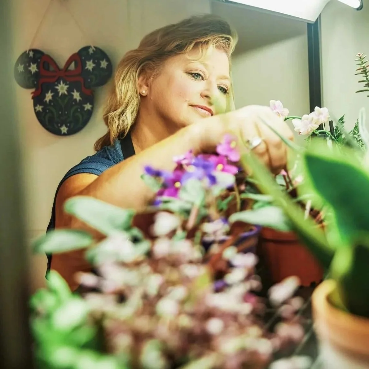 Clinical Horticultural Therapy