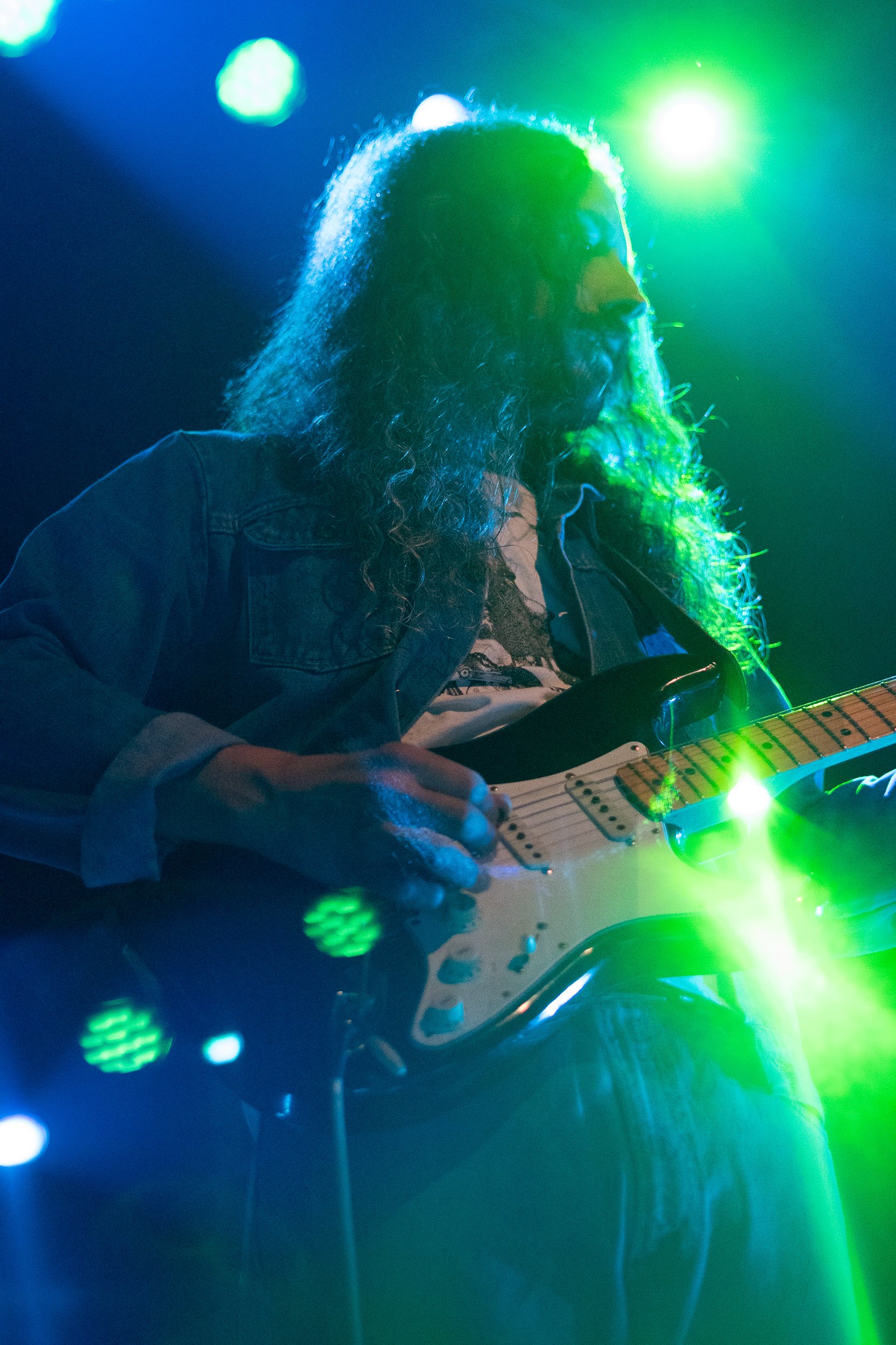 gratefulshred-27.jpg